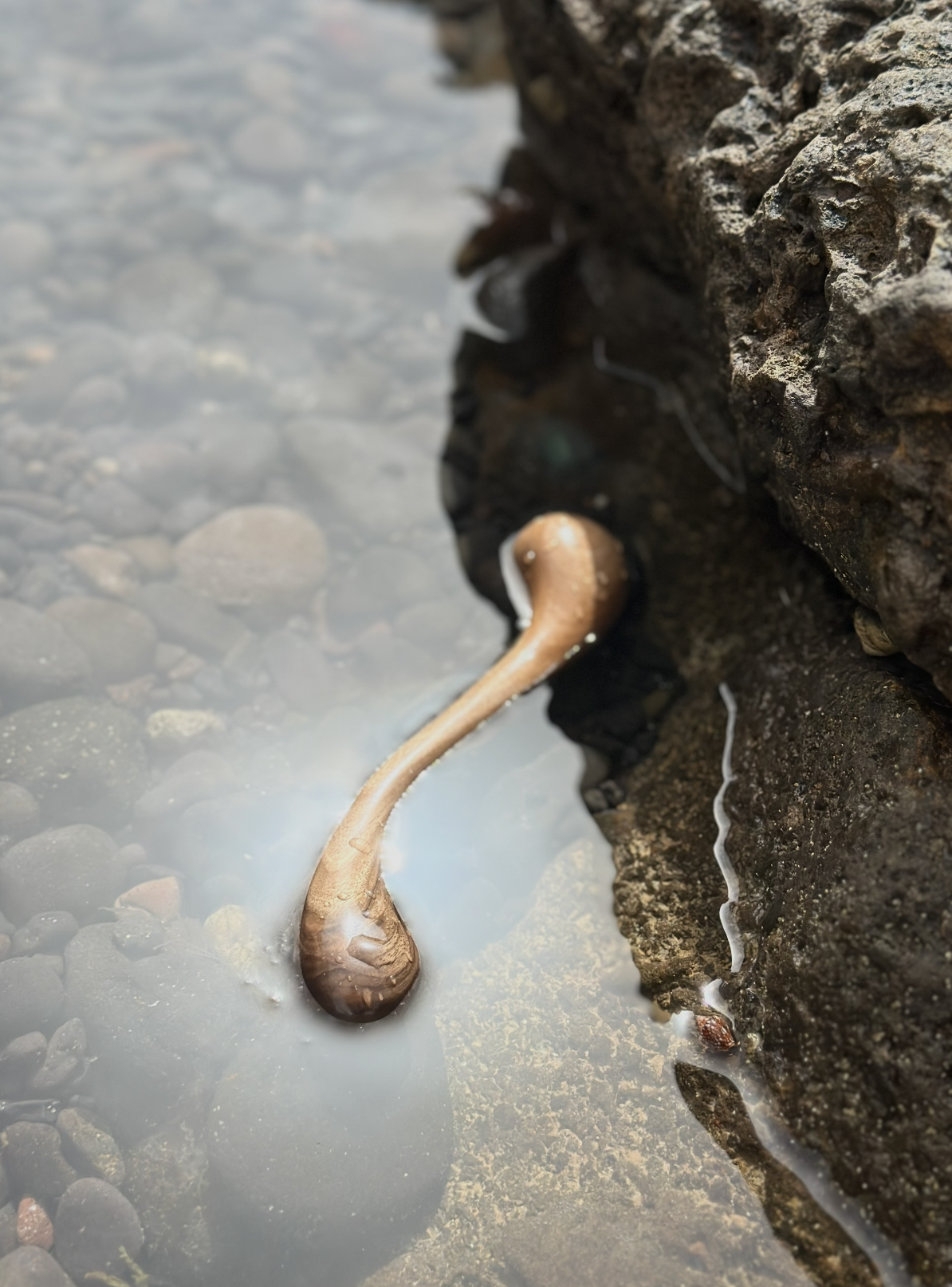 Screenshot 2026-04-10 at 23.52.28.png