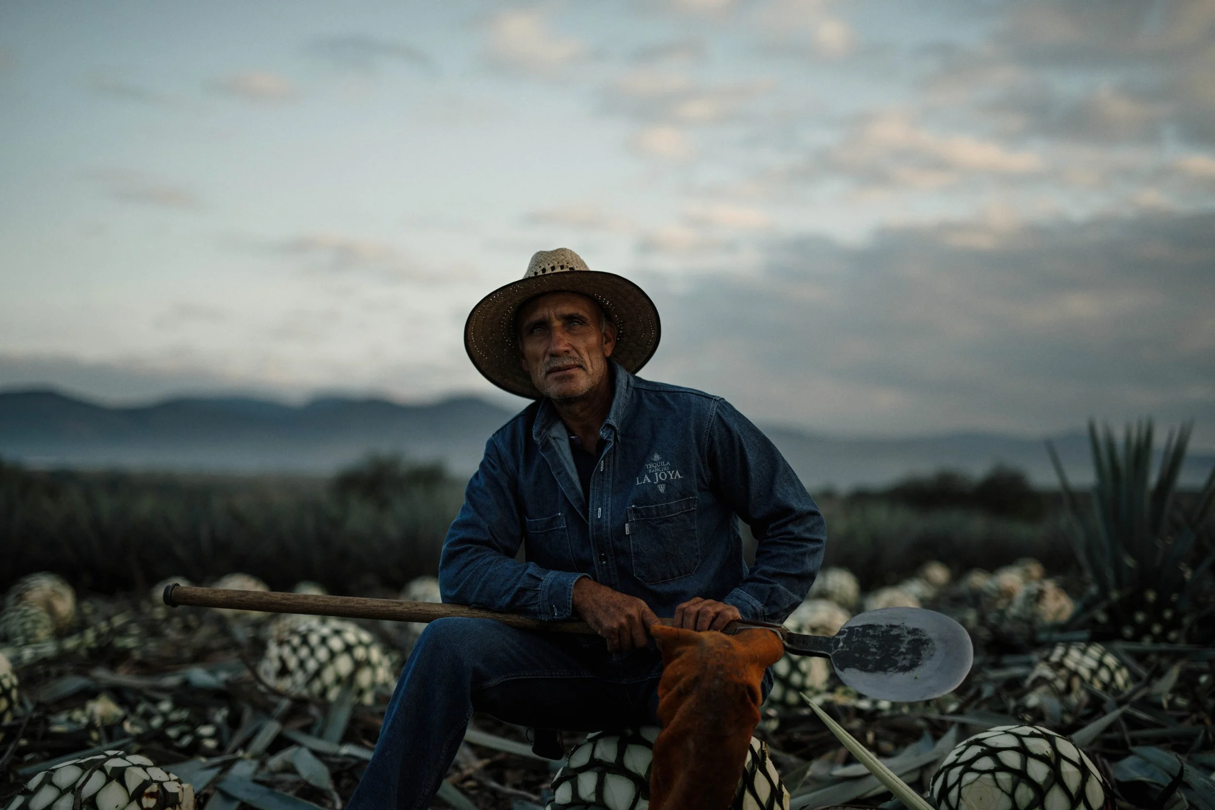 Jimadores Tequila La Joya