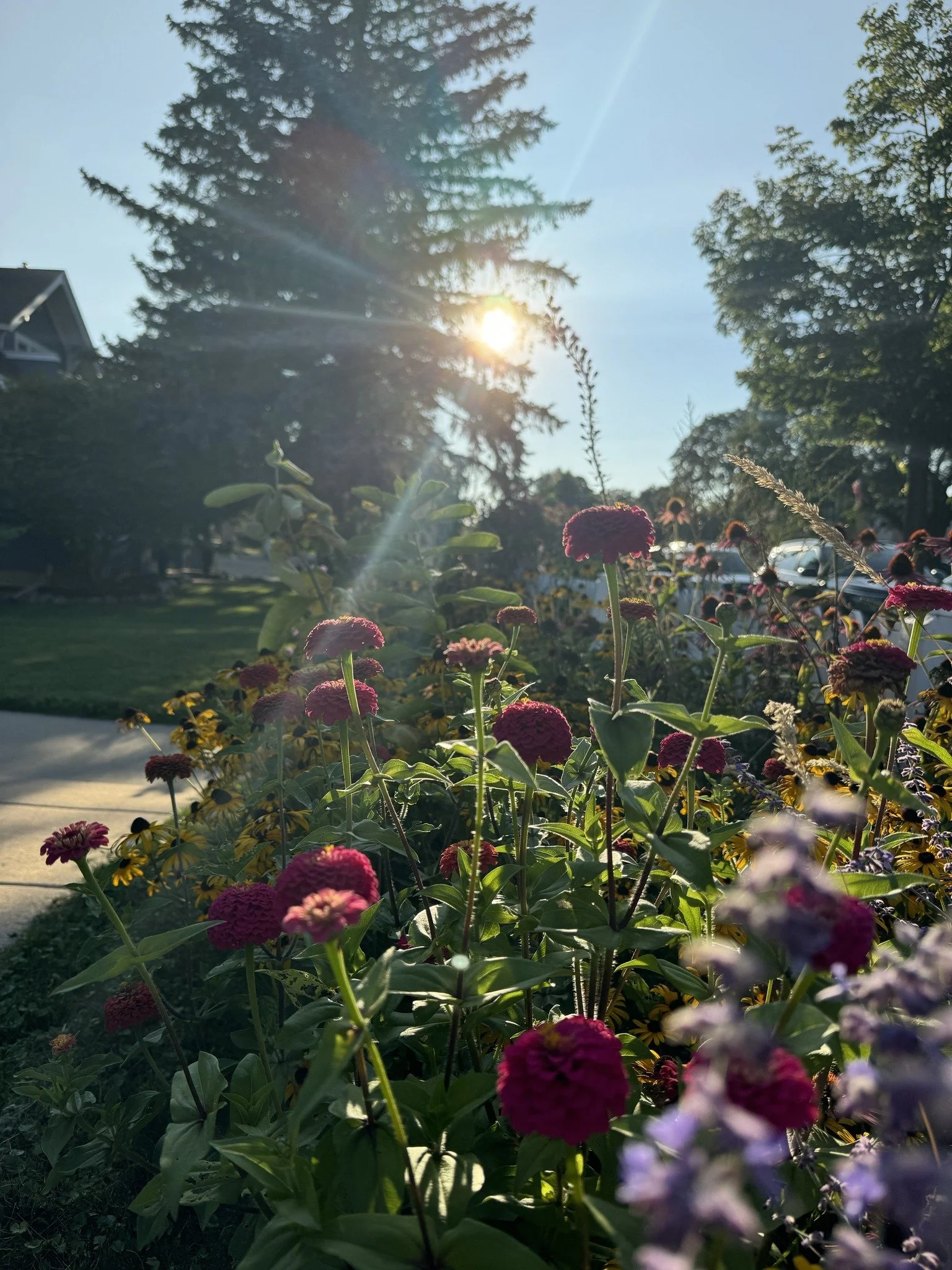 Garden and Art Show Open House Day 1