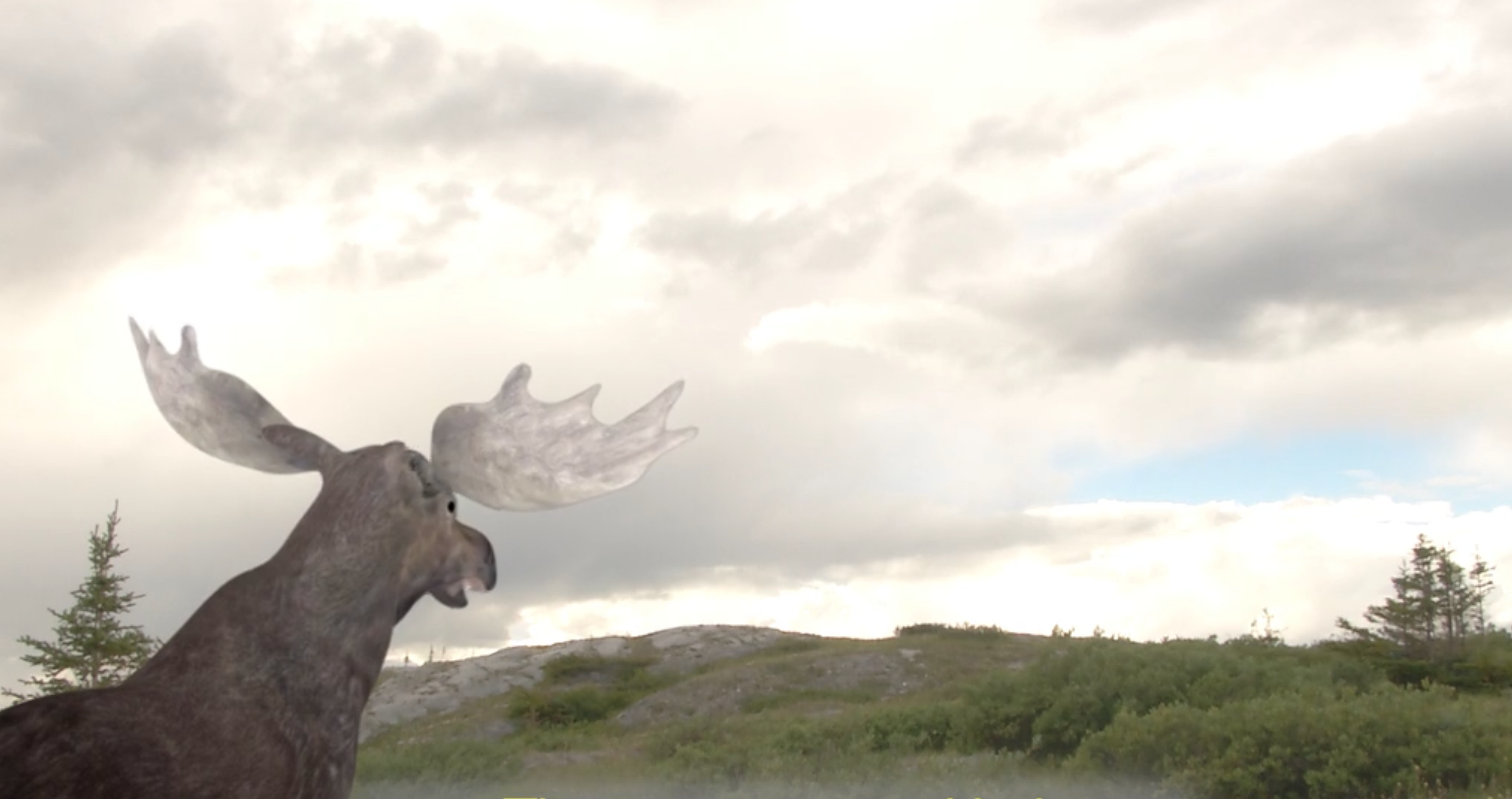 Screenshot 2025-12-12 at 2.37.27 PM.png