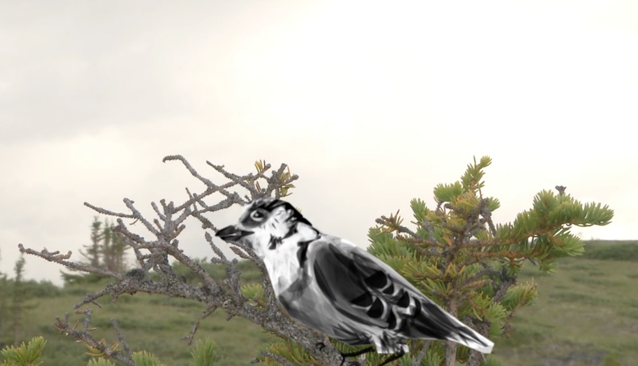 Screenshot 2025-12-16 at 2.25.50 PM.png