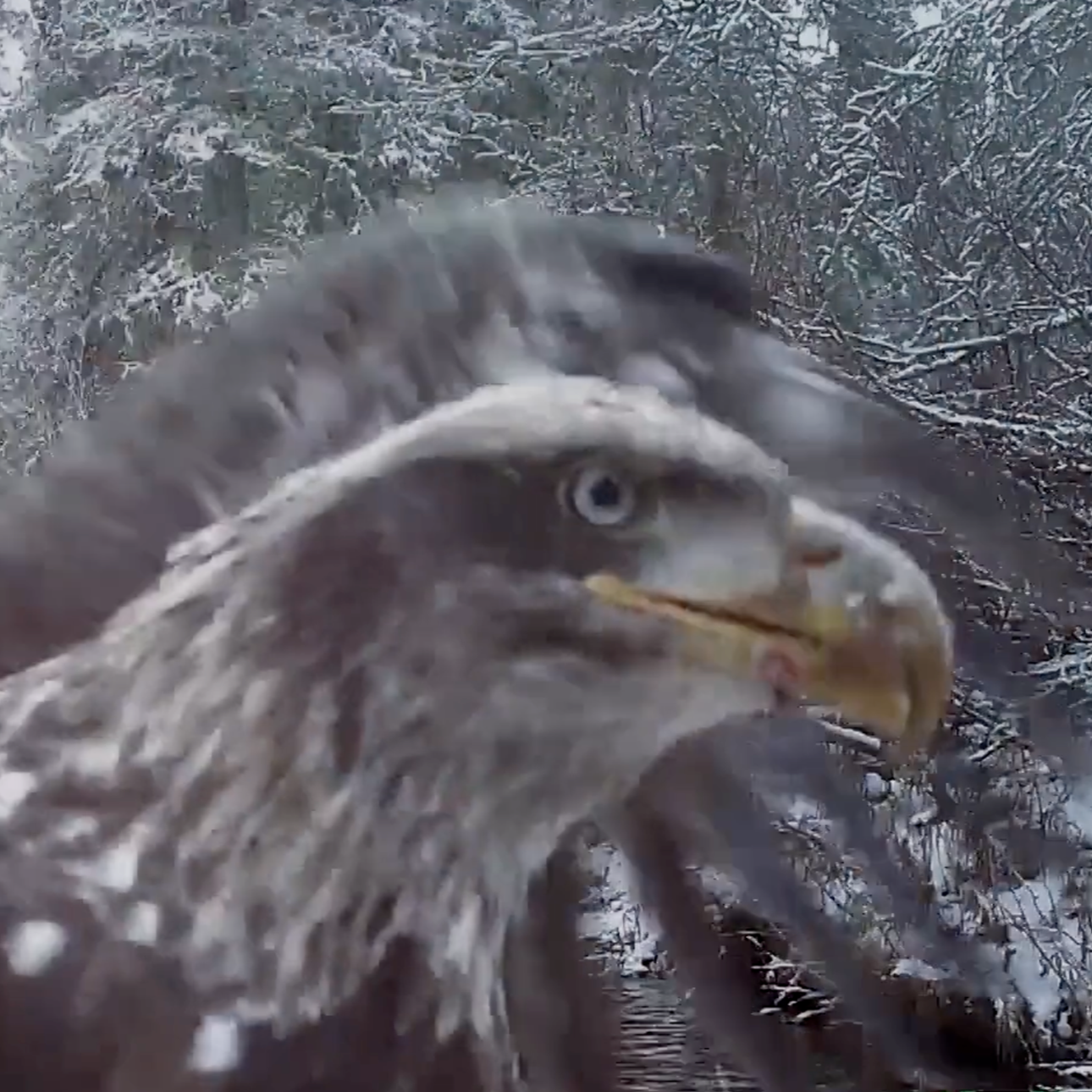 Screenshot 2025-08-28 at 12.25.06 PM.png