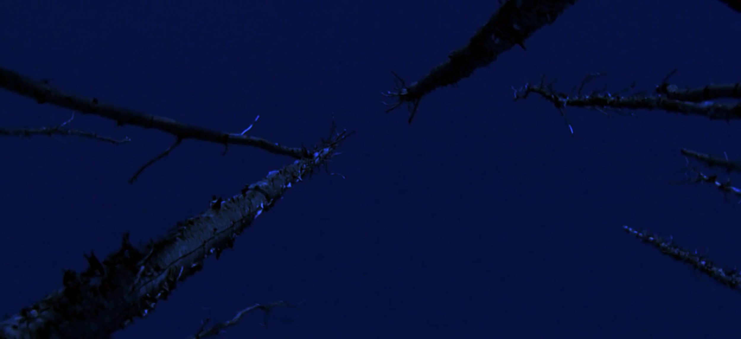 Screenshot 2025-12-16 at 2.25.19 PM.png