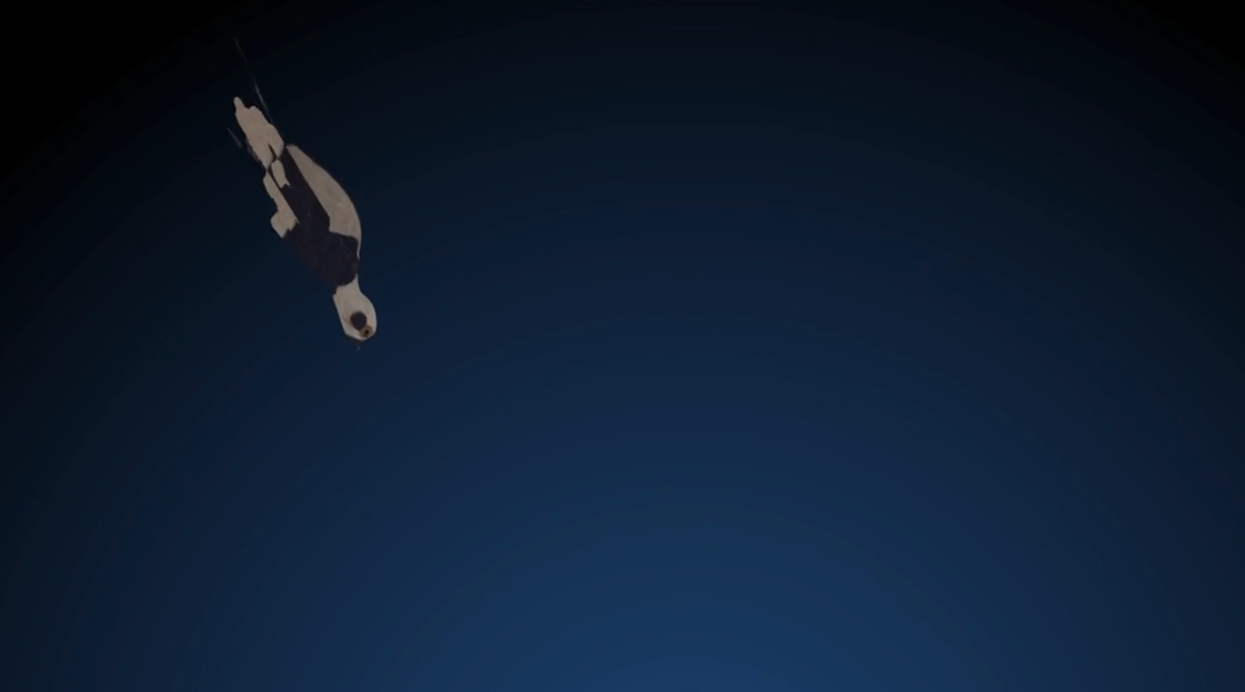 Screenshot 2025-12-16 at 2.24.58 PM.png