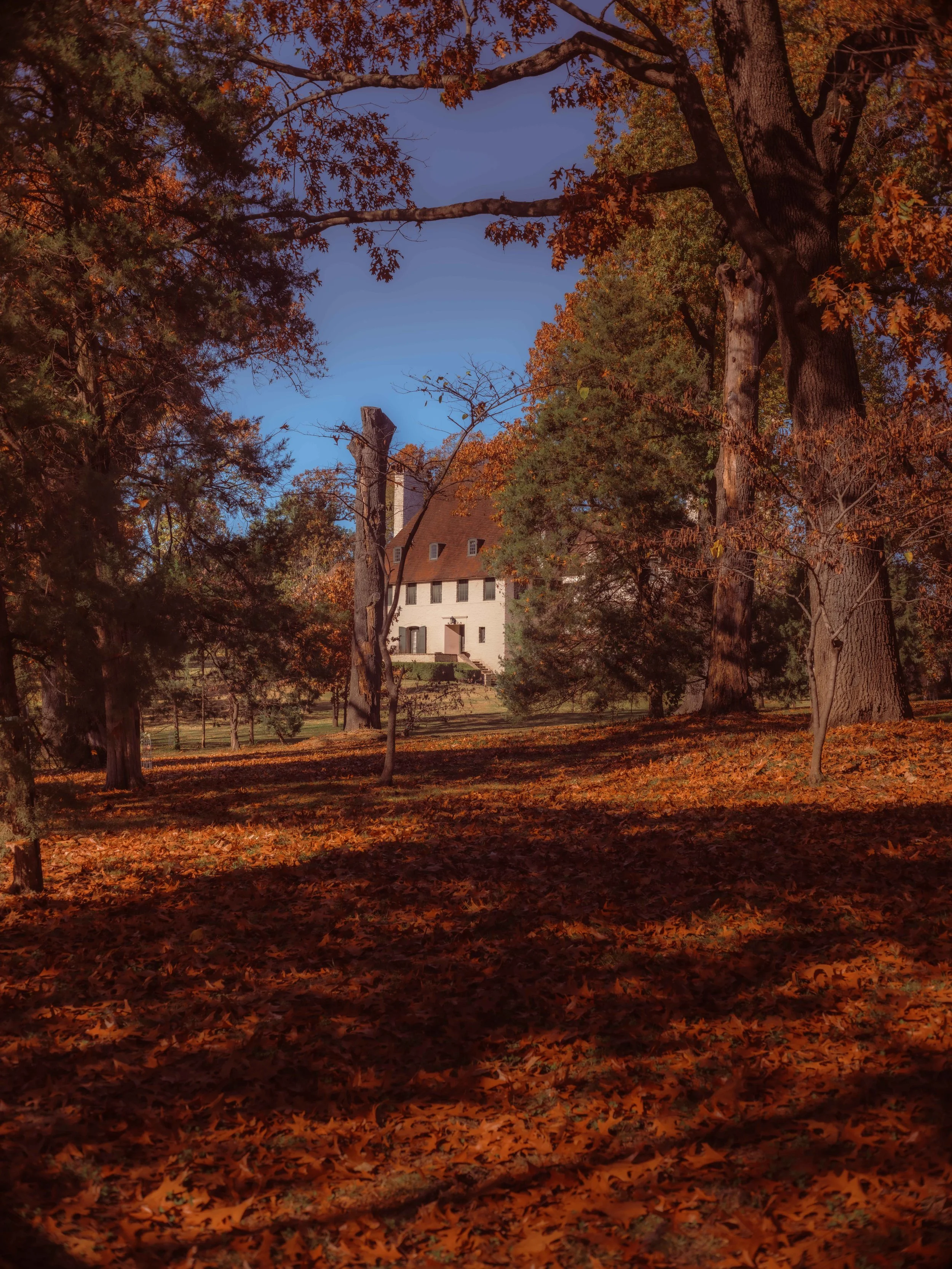 A large house with white walls and a red roof is seen through trees with orange and green leaves during fall, under a clear blue sky.