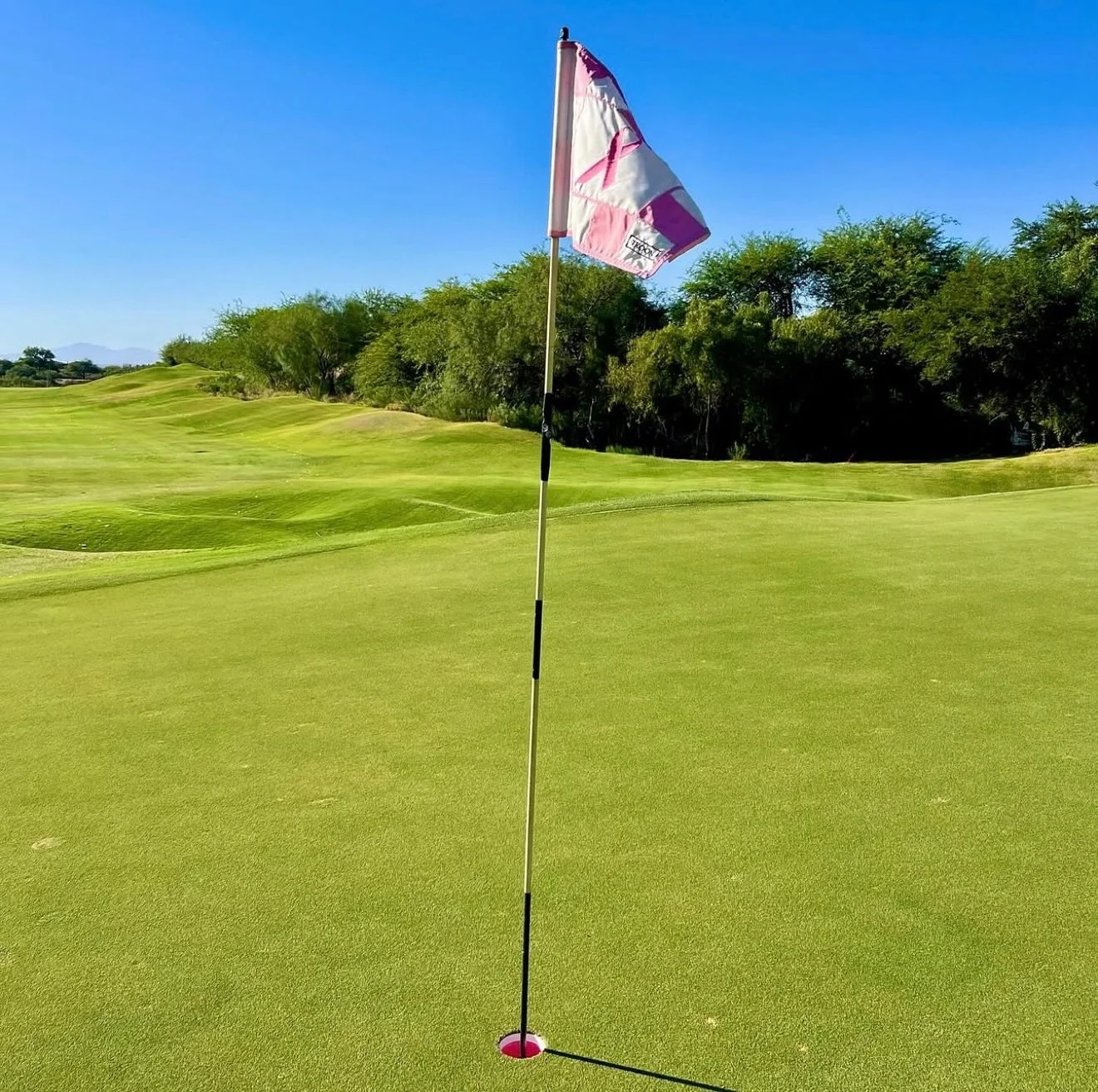 Pink on the green 💖⛳ Honoring fighters, celebrating survivors, and raising awareness this October.
#LaPalomaPride #trooncares #breastcancerawareness🎀
