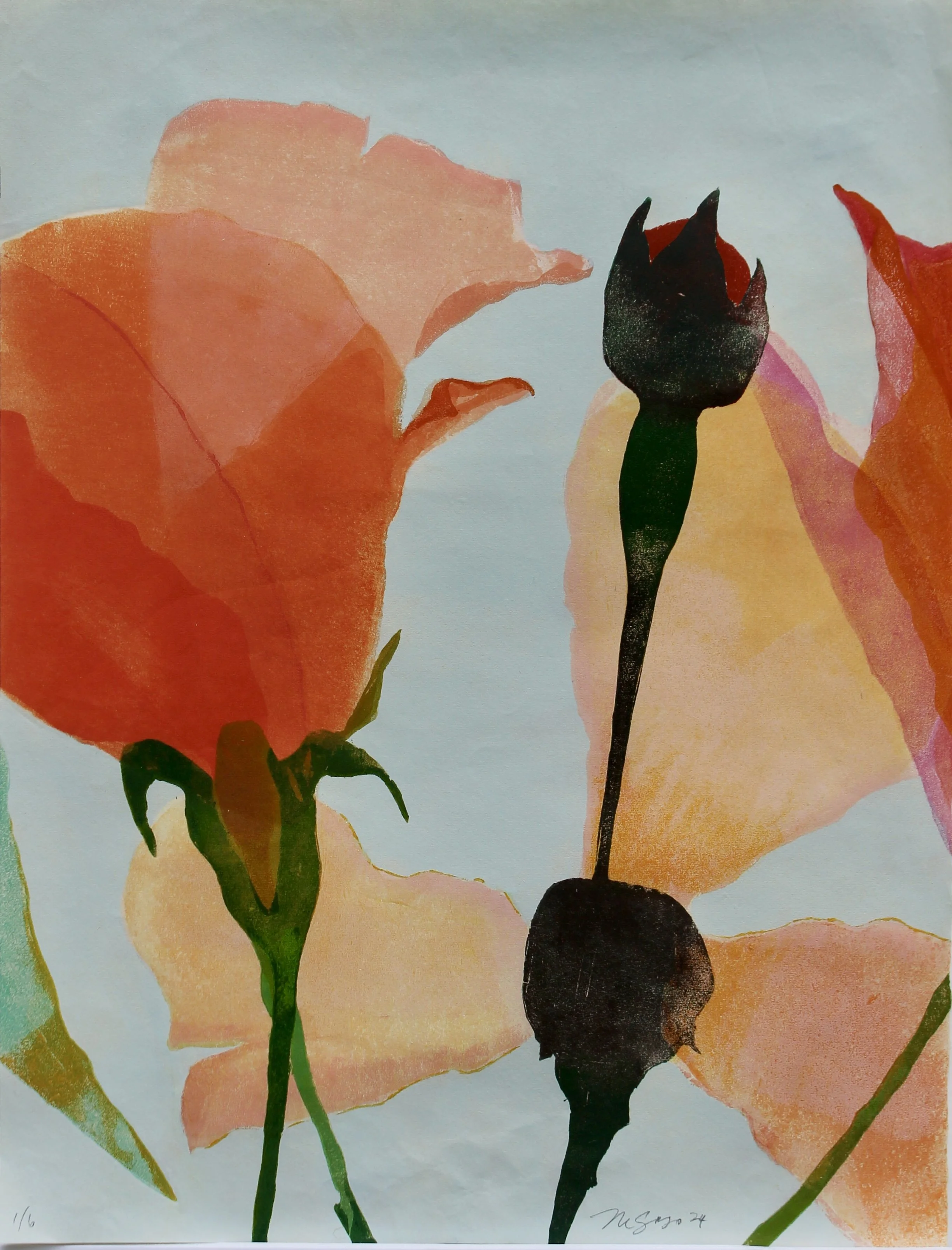 Blooms