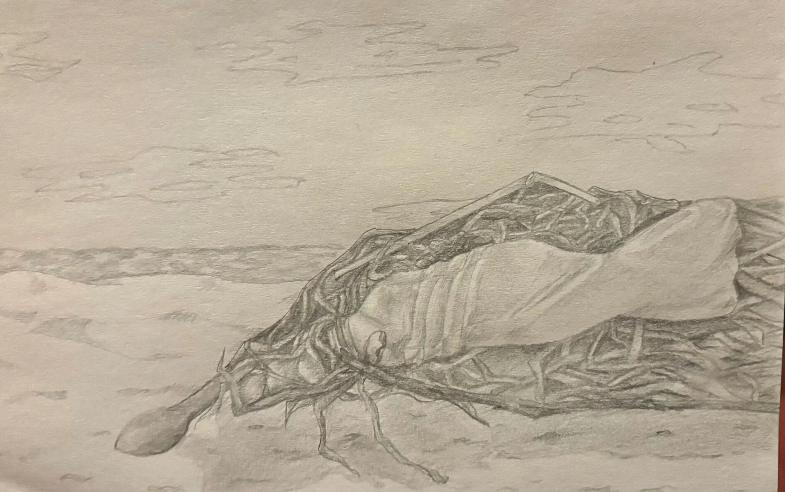 ... by Claire Meder (2024)