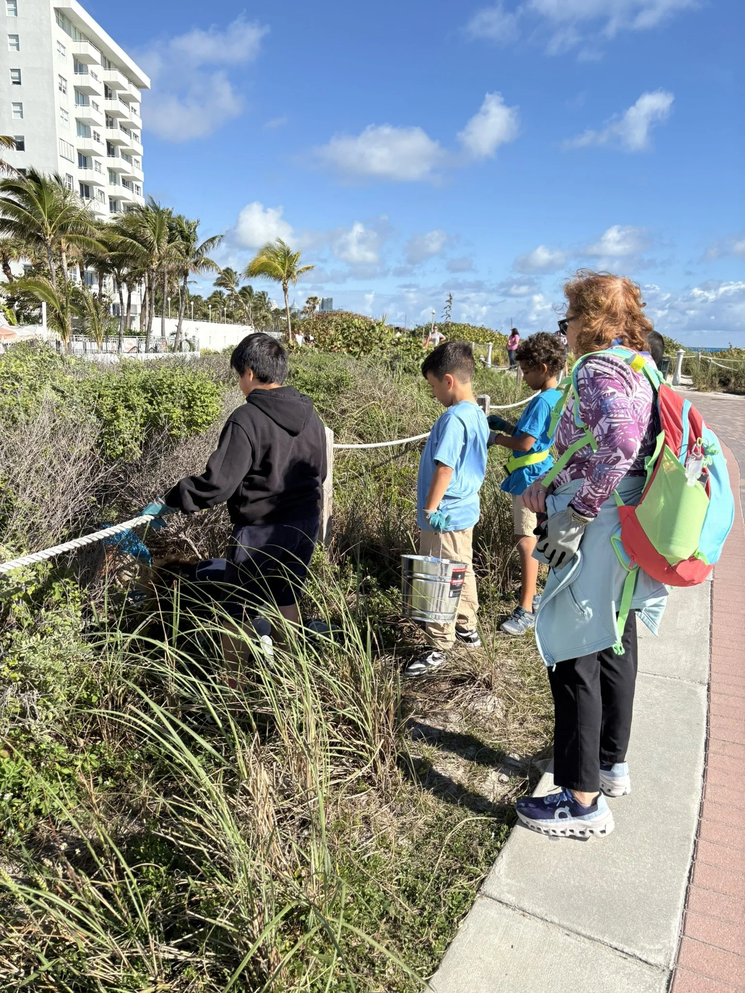 Looking in boardwalk bushes.JPEG