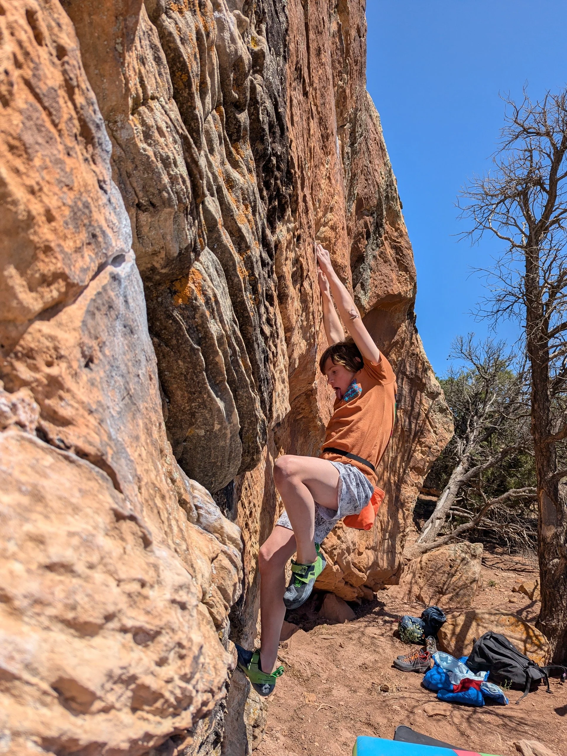 PXL_20250420_175124817.MP - Copy.jpg