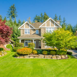 Investment Property for purchase in Virginia