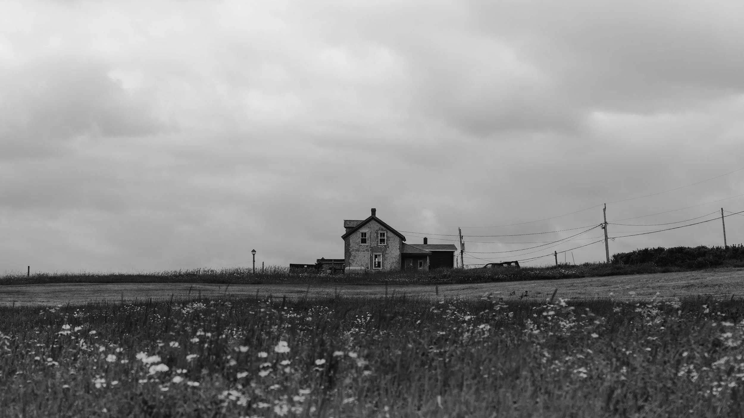 DSC09666.jpg