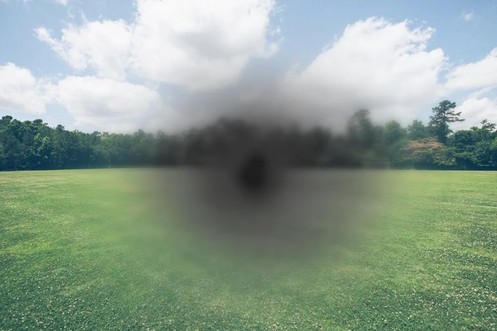 A grassy field with trees and a cloudy sky in the background, partially obscured by a black, blurred circle in the center.