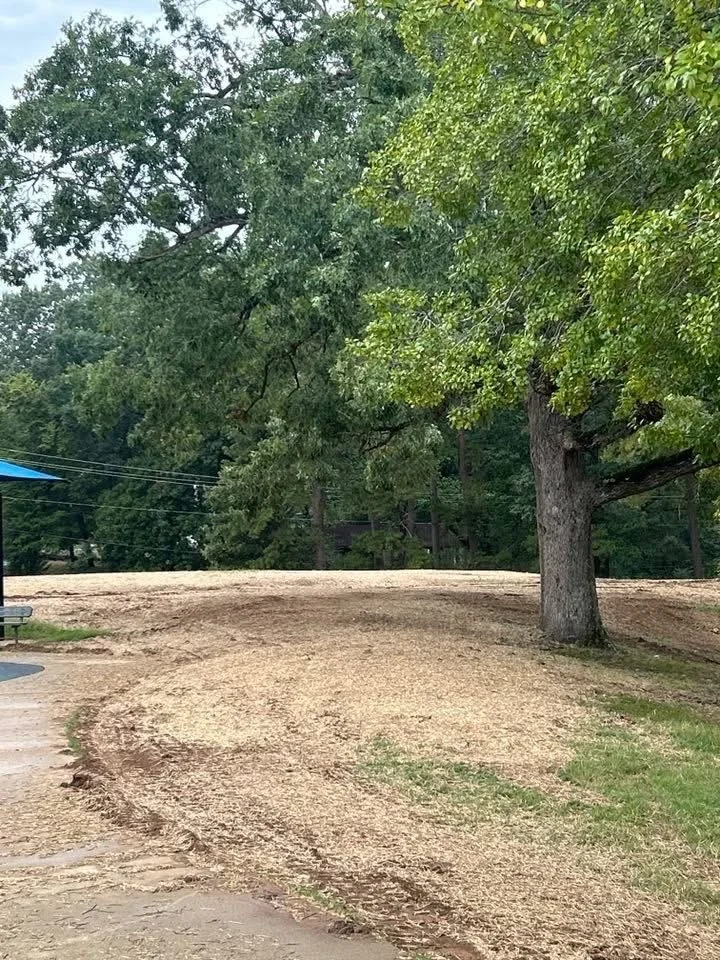 Park Cleared, leveled, strawed, and seeded