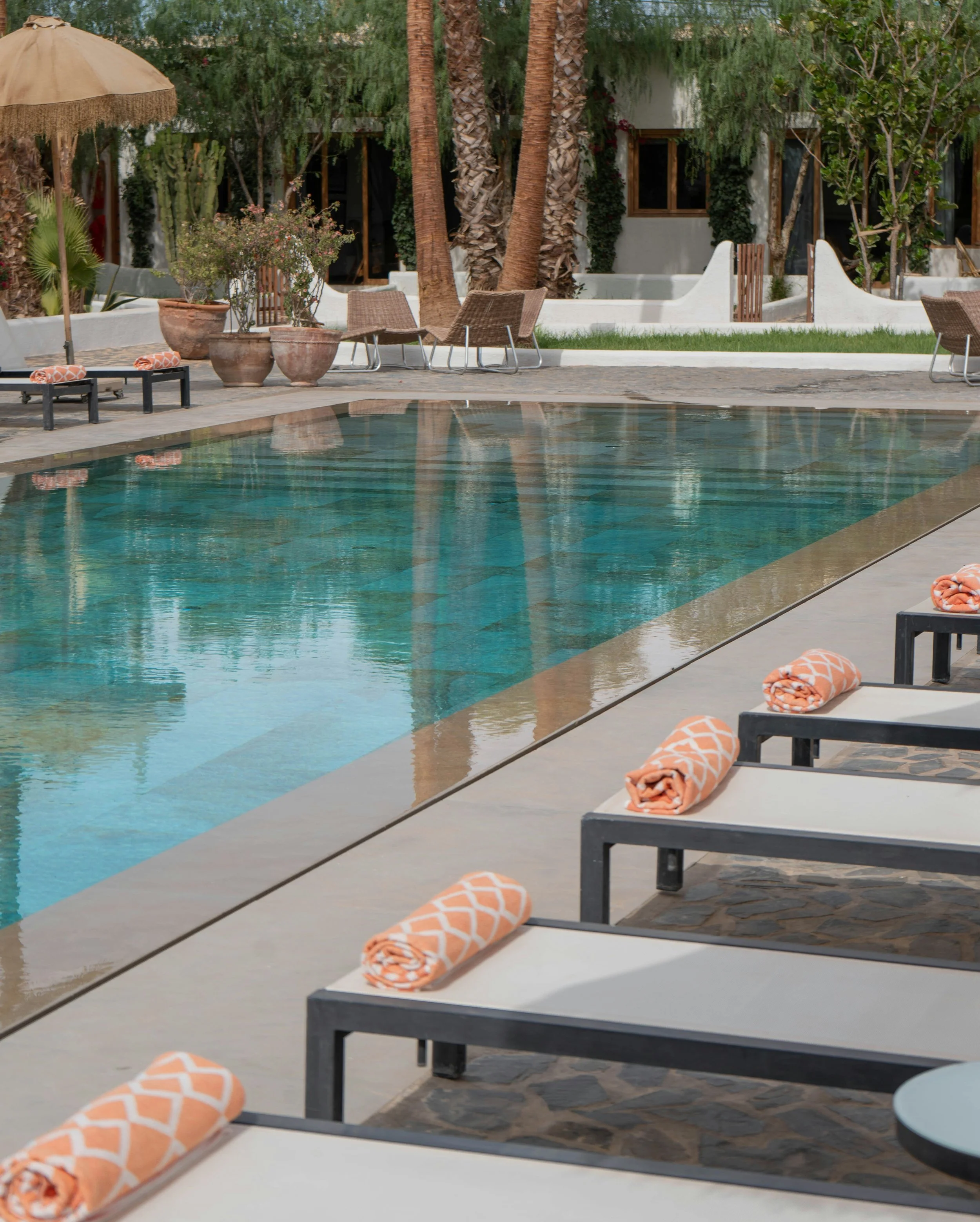 view from standing near row of loungers each with a rolled up towel and facing a serene shallow pool, surrounded by palm trees