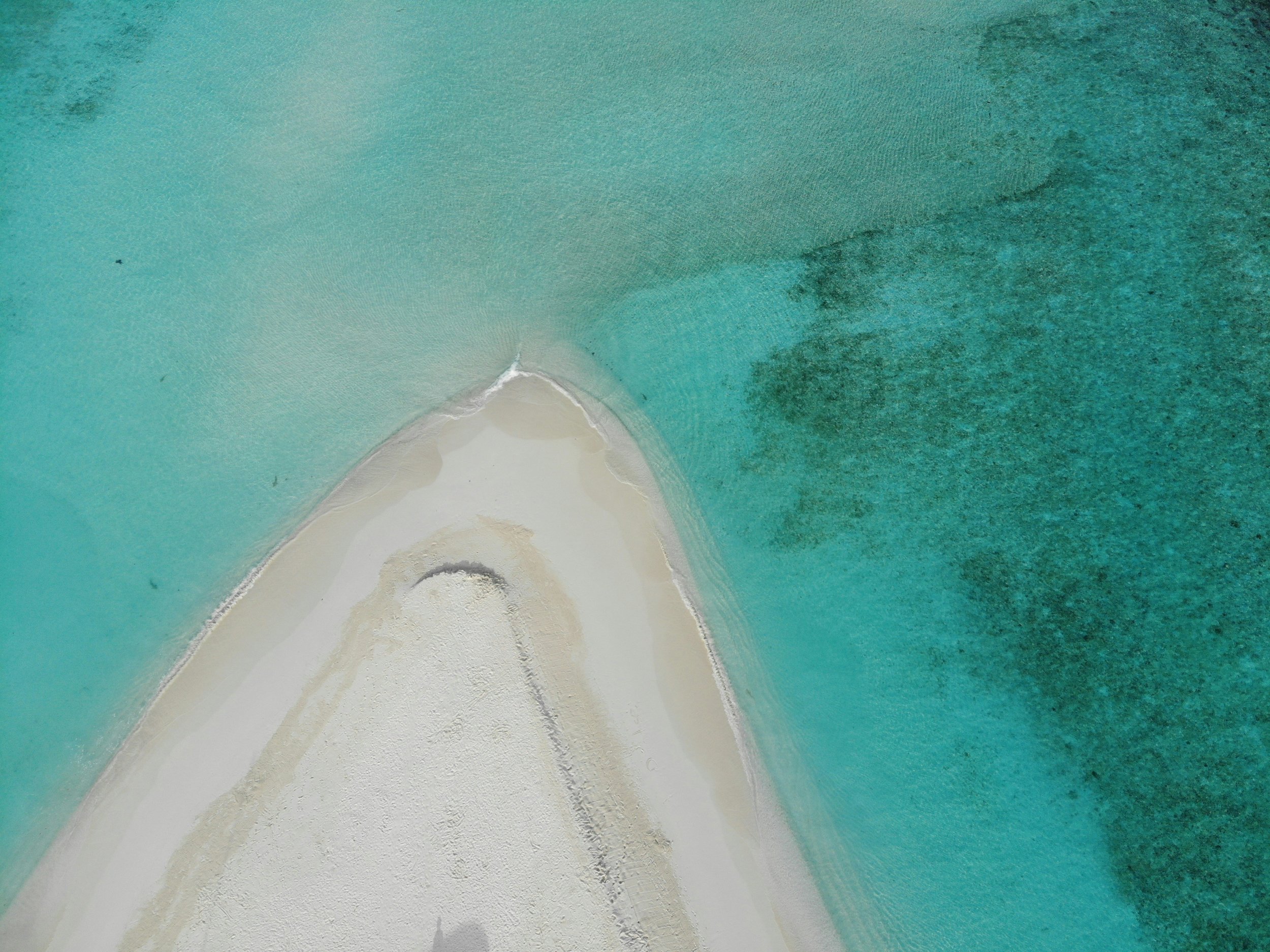 turquoise water of different shades surrounding a cream colored beach