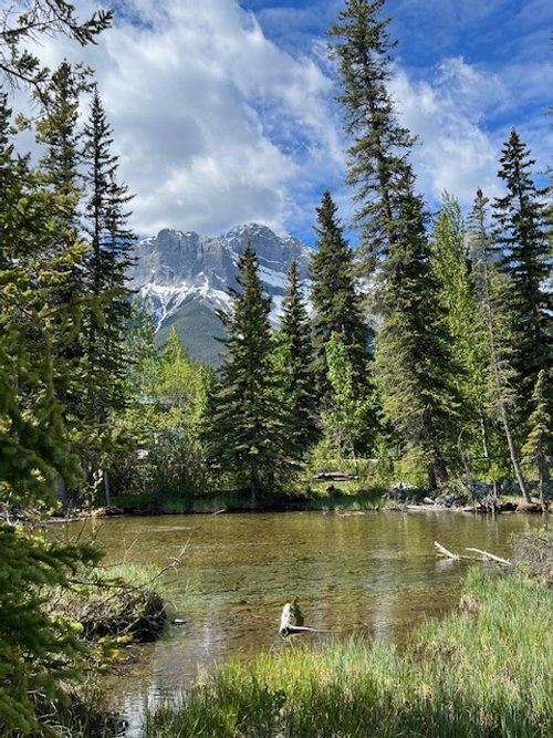 canmore creek.jpg