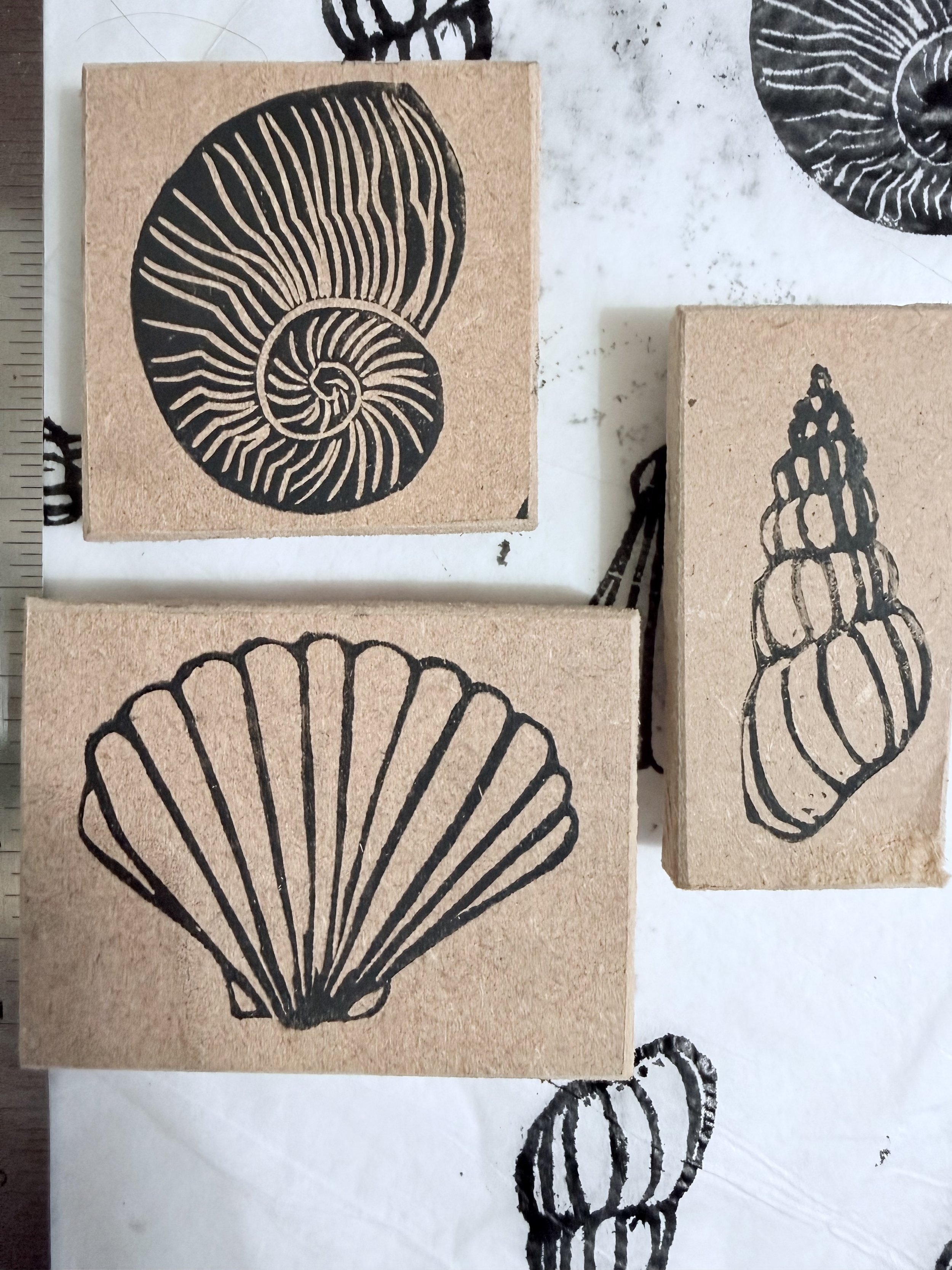 Sea shell set of 3 | rubber stamps | lino stamps | mounted | unmounted