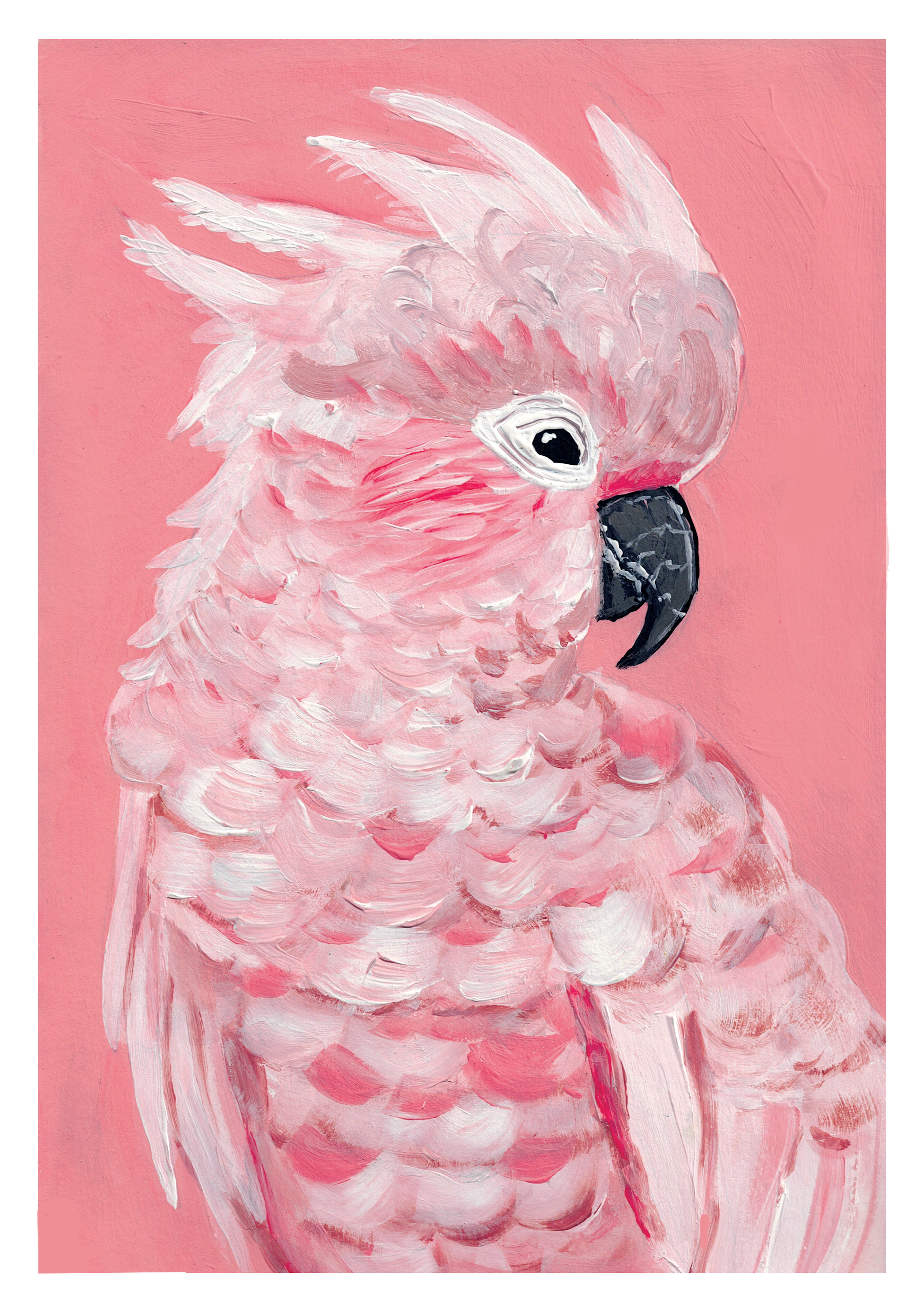 Painting of a pink cockatoo with black beak against a pink background.