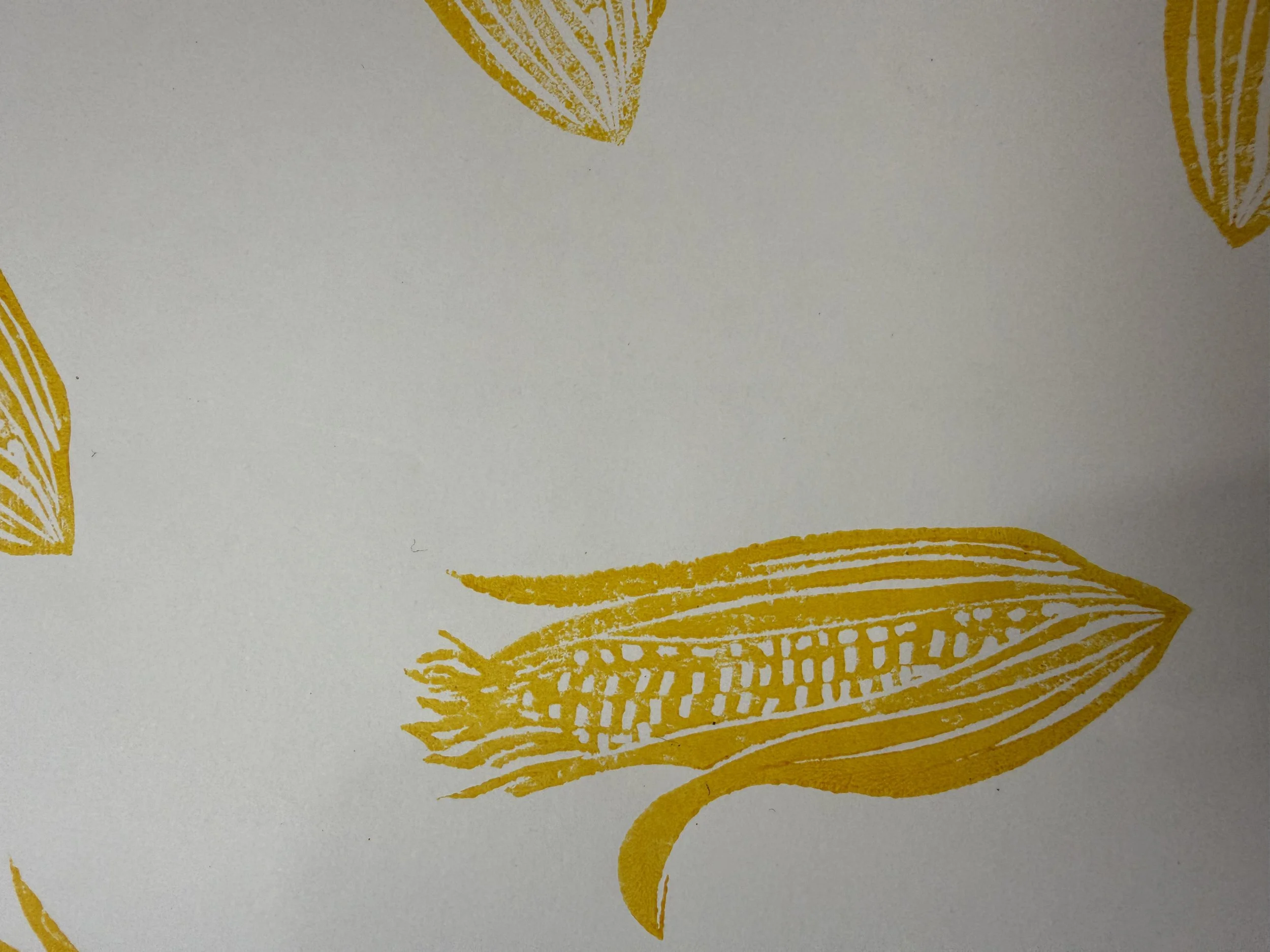 Corn Gift wrap, wrapping paper