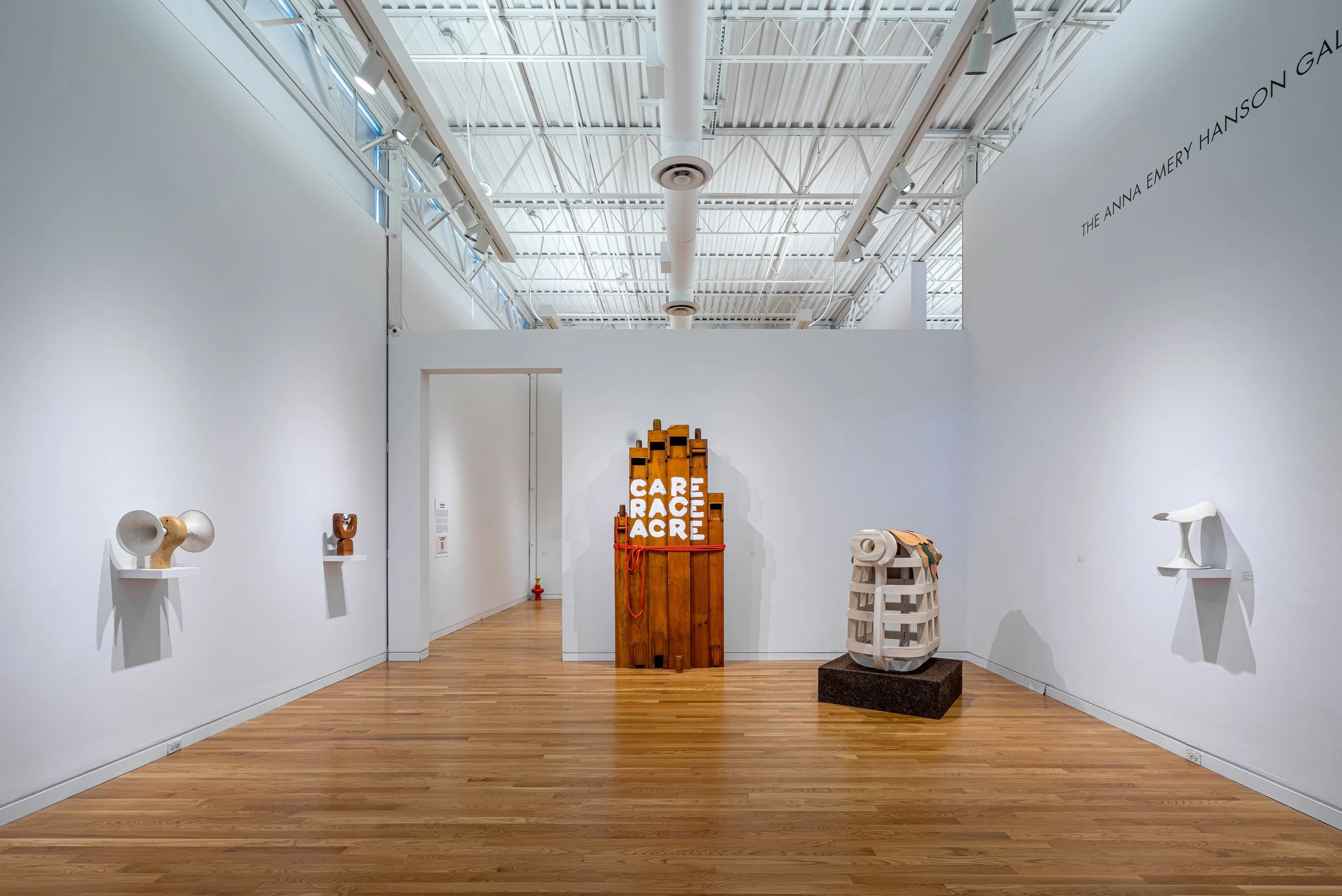 Installation of A Love Supreme- Norman Teague at the Elmhurst Art Museum, photo  Siegfried Mueller Photography 4.jpeg