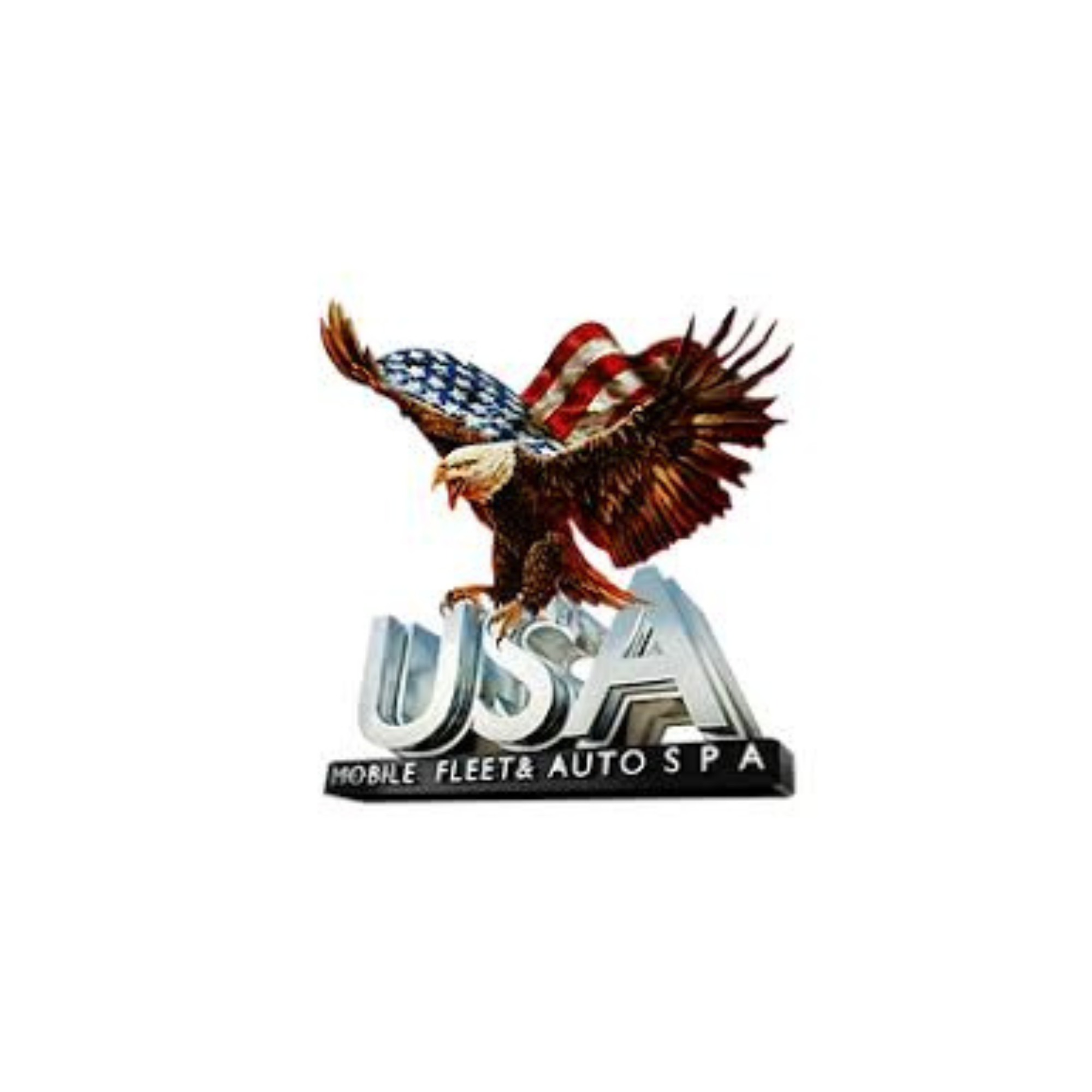 USA Mobile Fleet and Auto Spa.png