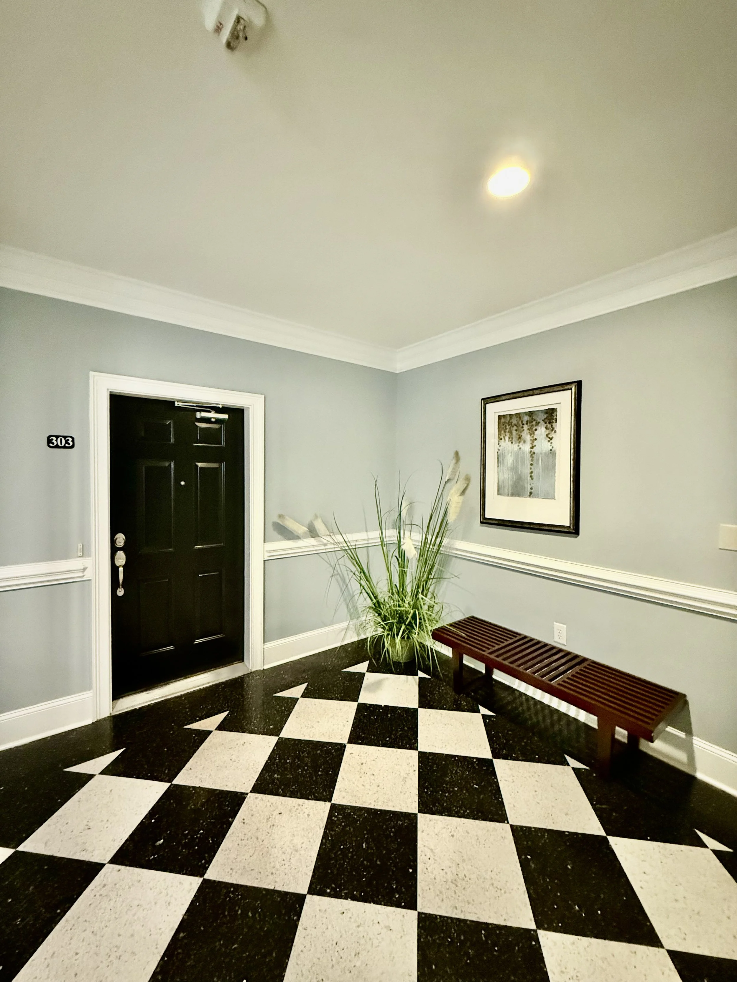 Fountain View Interior with Door plant.jpg