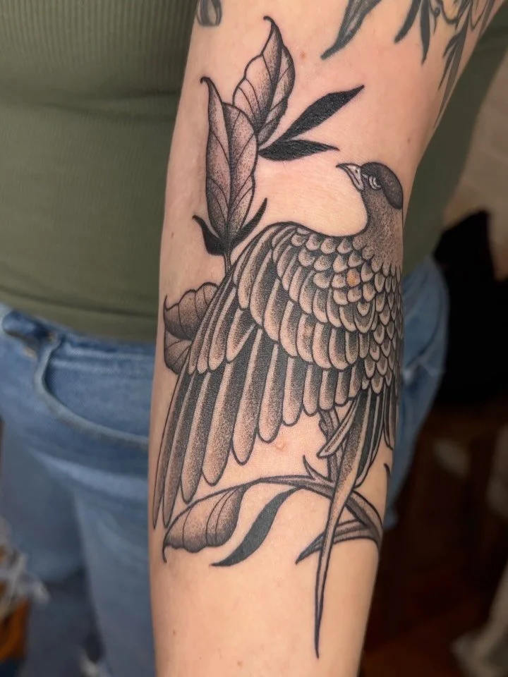 Birb from my flash, thank you Emma! Always lovely seeing you. :-)