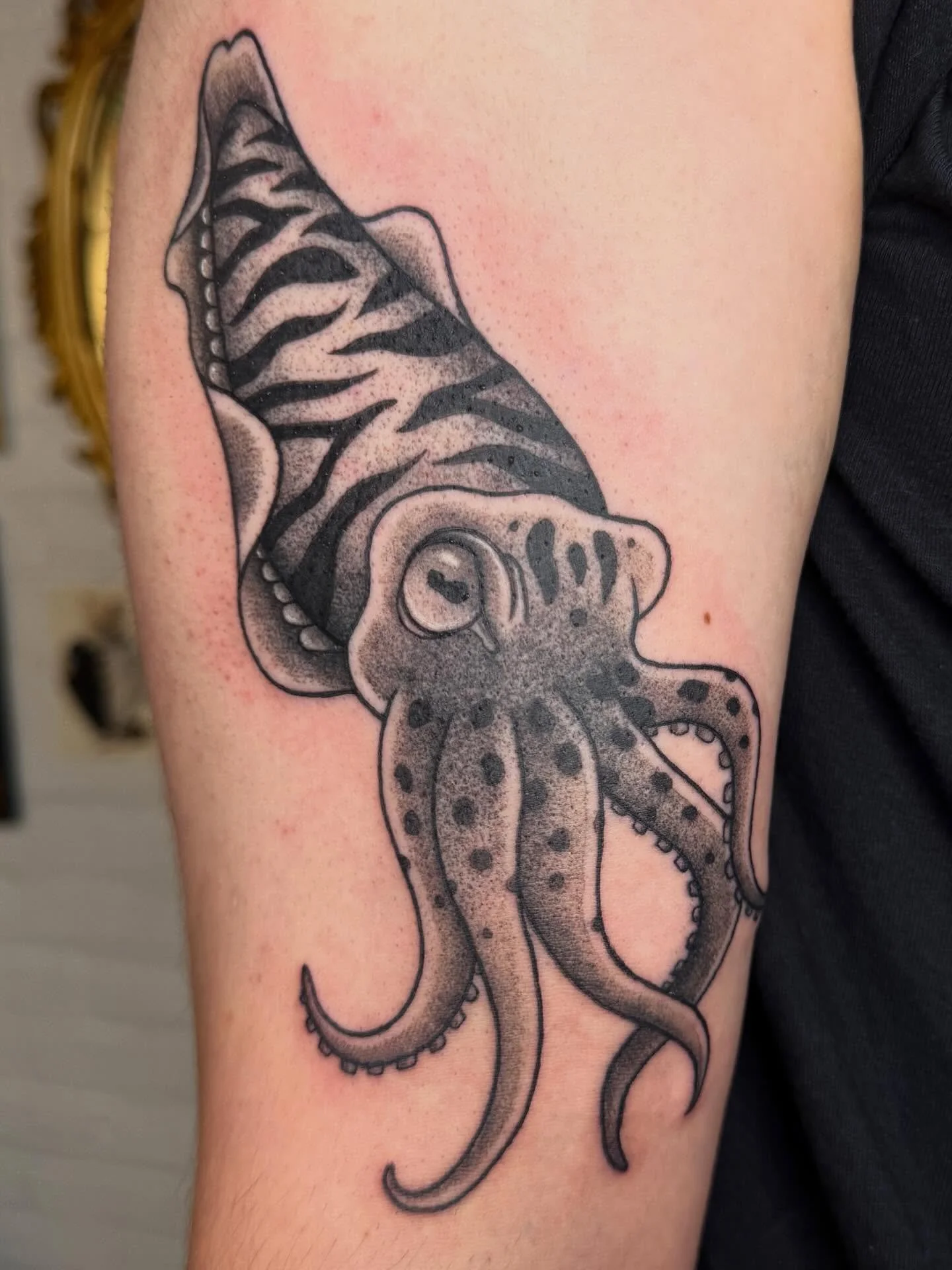 First tattoo for Victor! Lil cuttlefish 🌊
