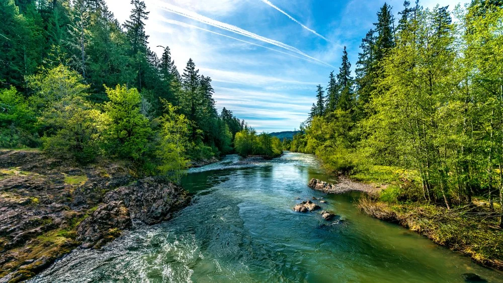 A river flowing through a lush green forest under a partly cloudy sky.
