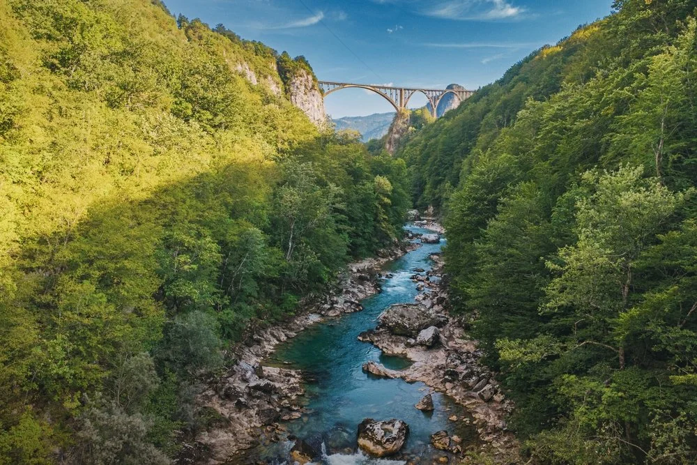 Bridge over the Tara.jpg