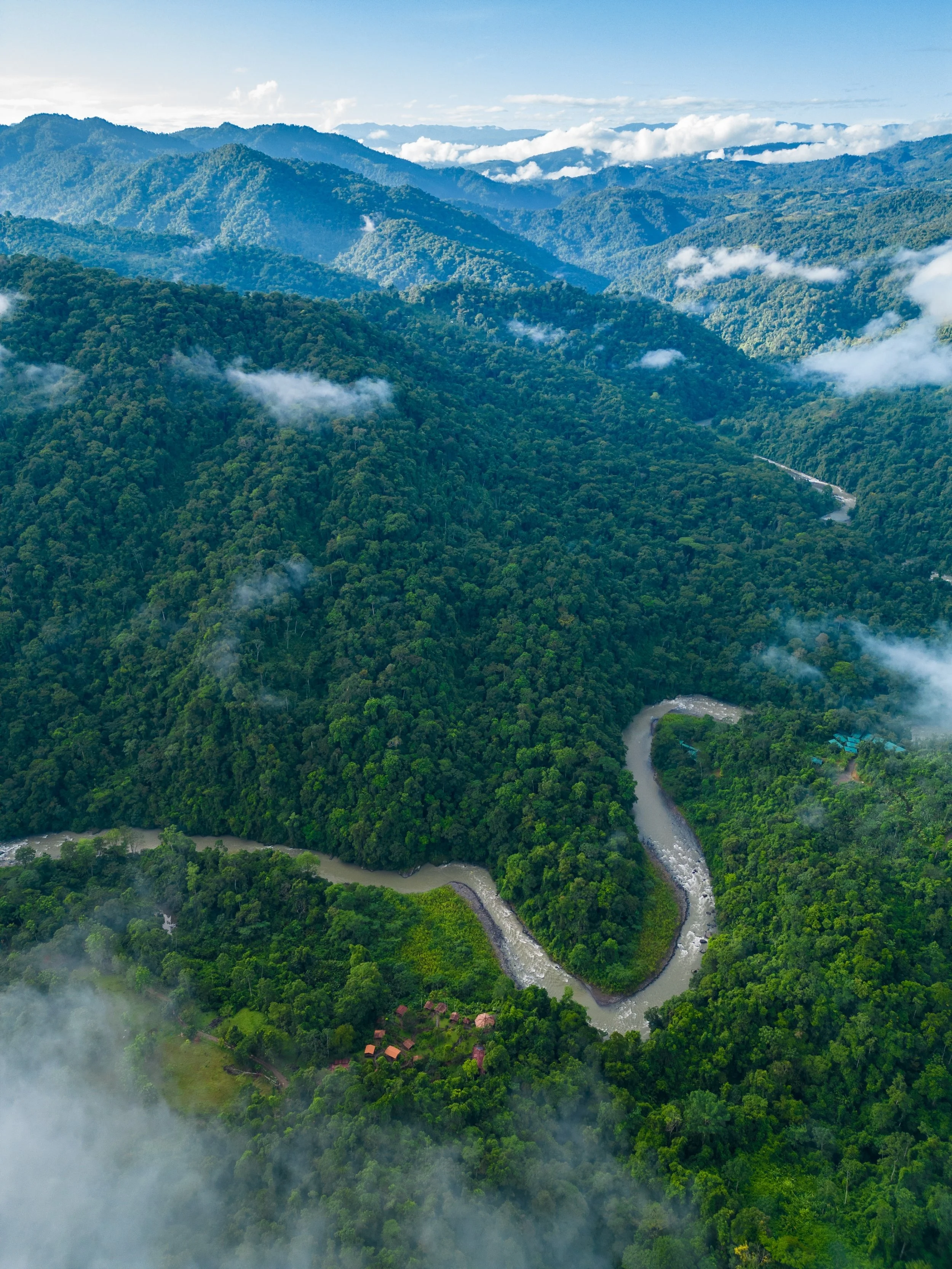 Aerial view of lush green mountains with a winding river flowing through the dense forested landscape.