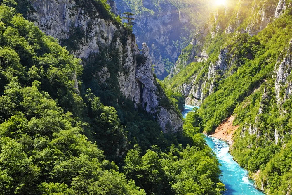 Piva River Canyon.jpg