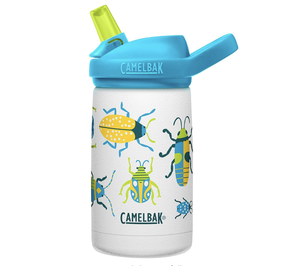 Camelbak ($20-$30)