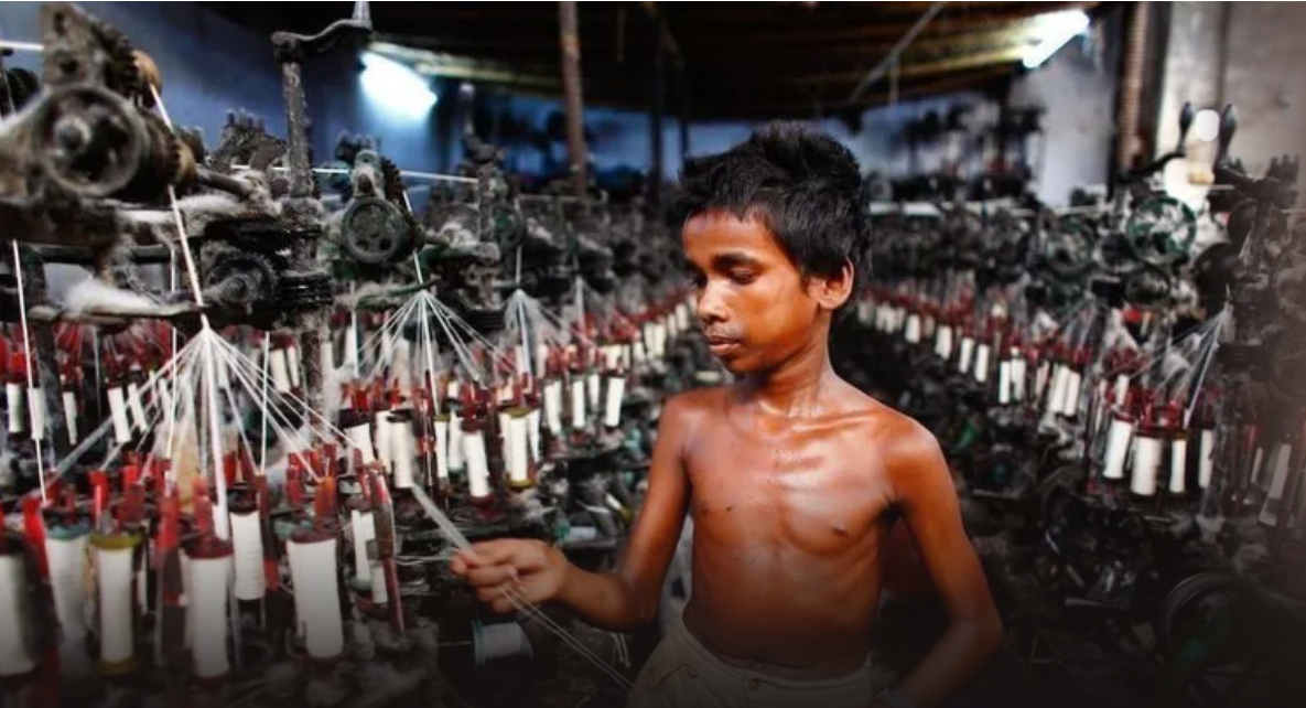 THE HUMAN COST