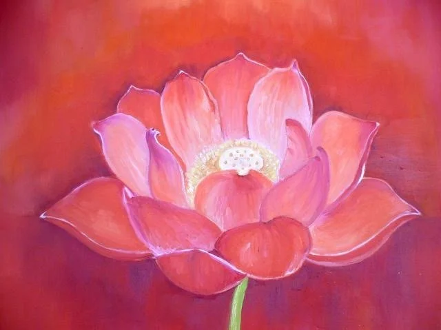 Abundance 