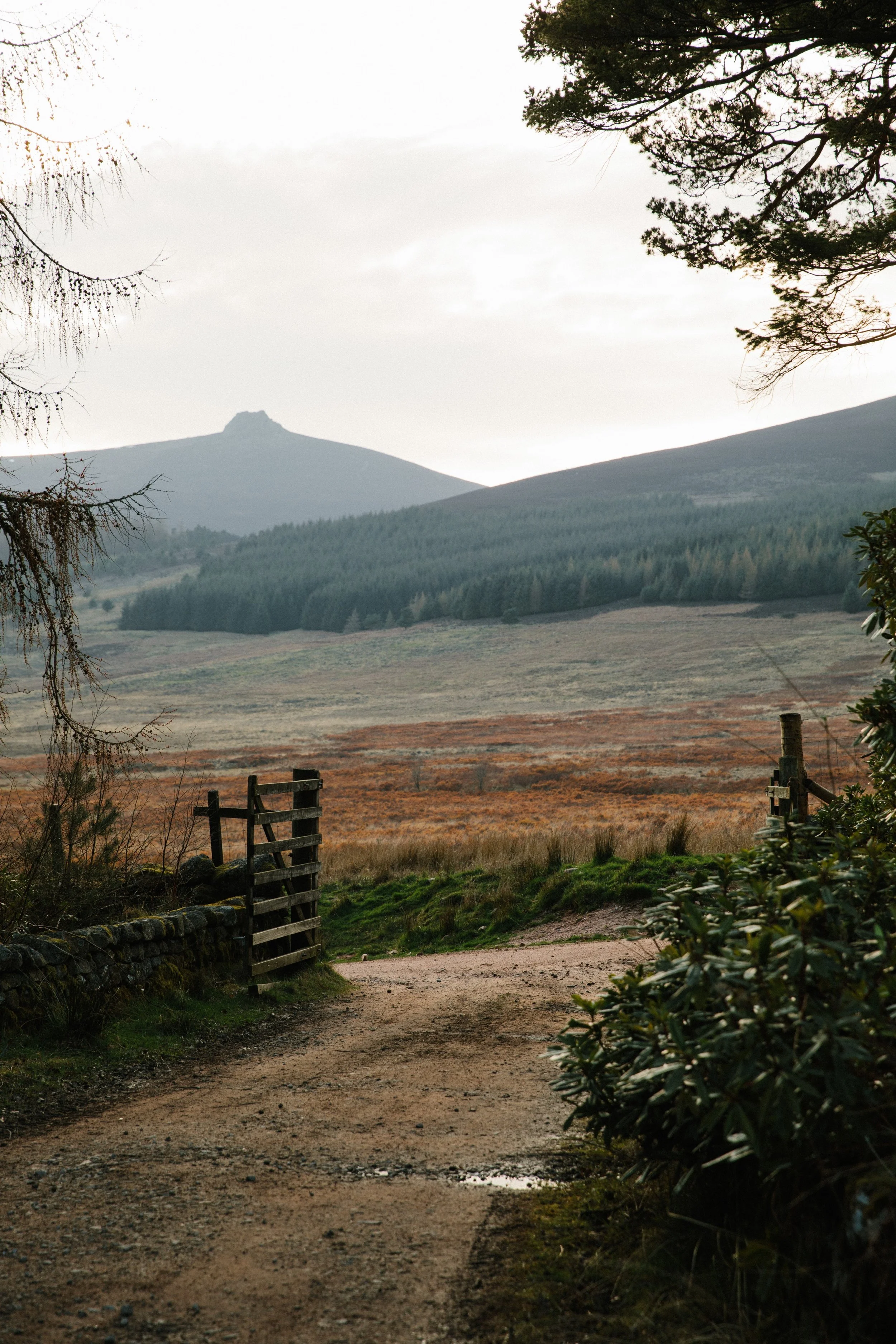 Glen Dye - Landscapes-16.jpg