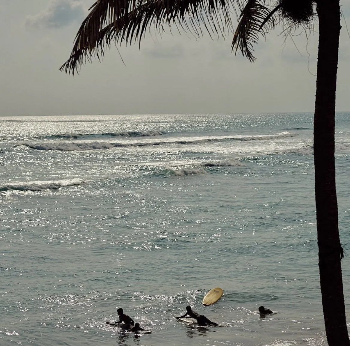 Sri lanka Yoga View.jpg