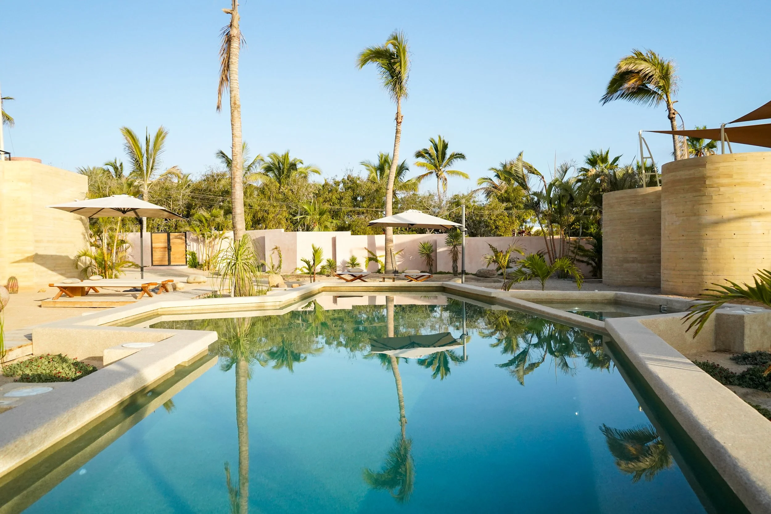 A swimming pool surrounded by palm trees, lounge chairs, and umbrellas in a tropical setting with a clear blue sky.