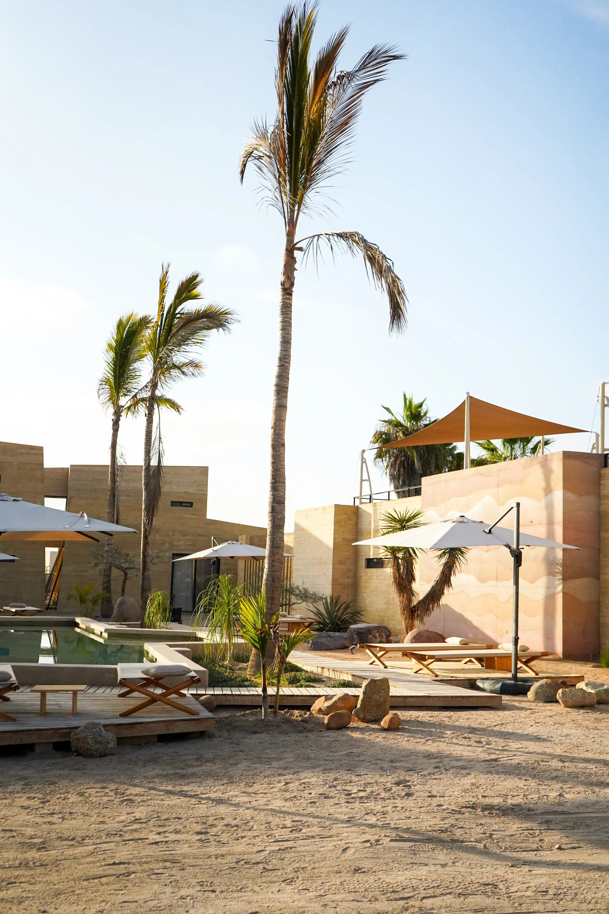 Beachside lounge area with palm trees, umbrellas, and modern building structures under a clear sky.