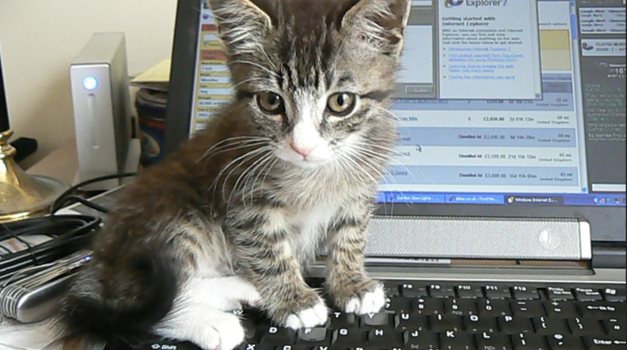 A work-from-home survival guide