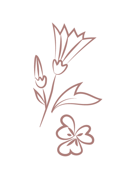 A simple line drawing of pink flowers.