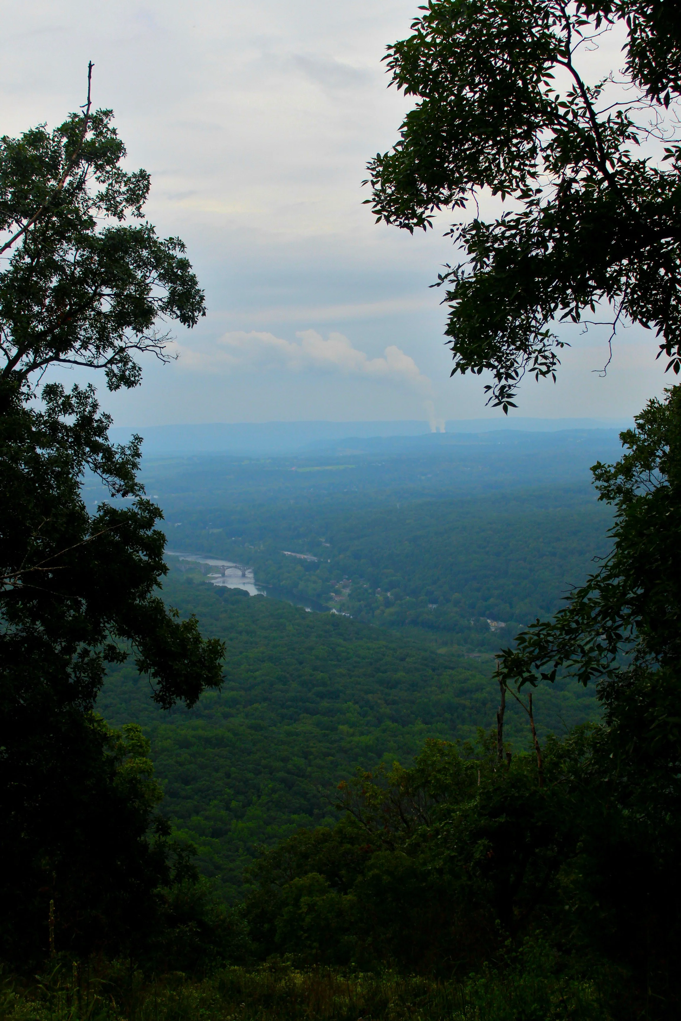 mt tammany 3.JPG