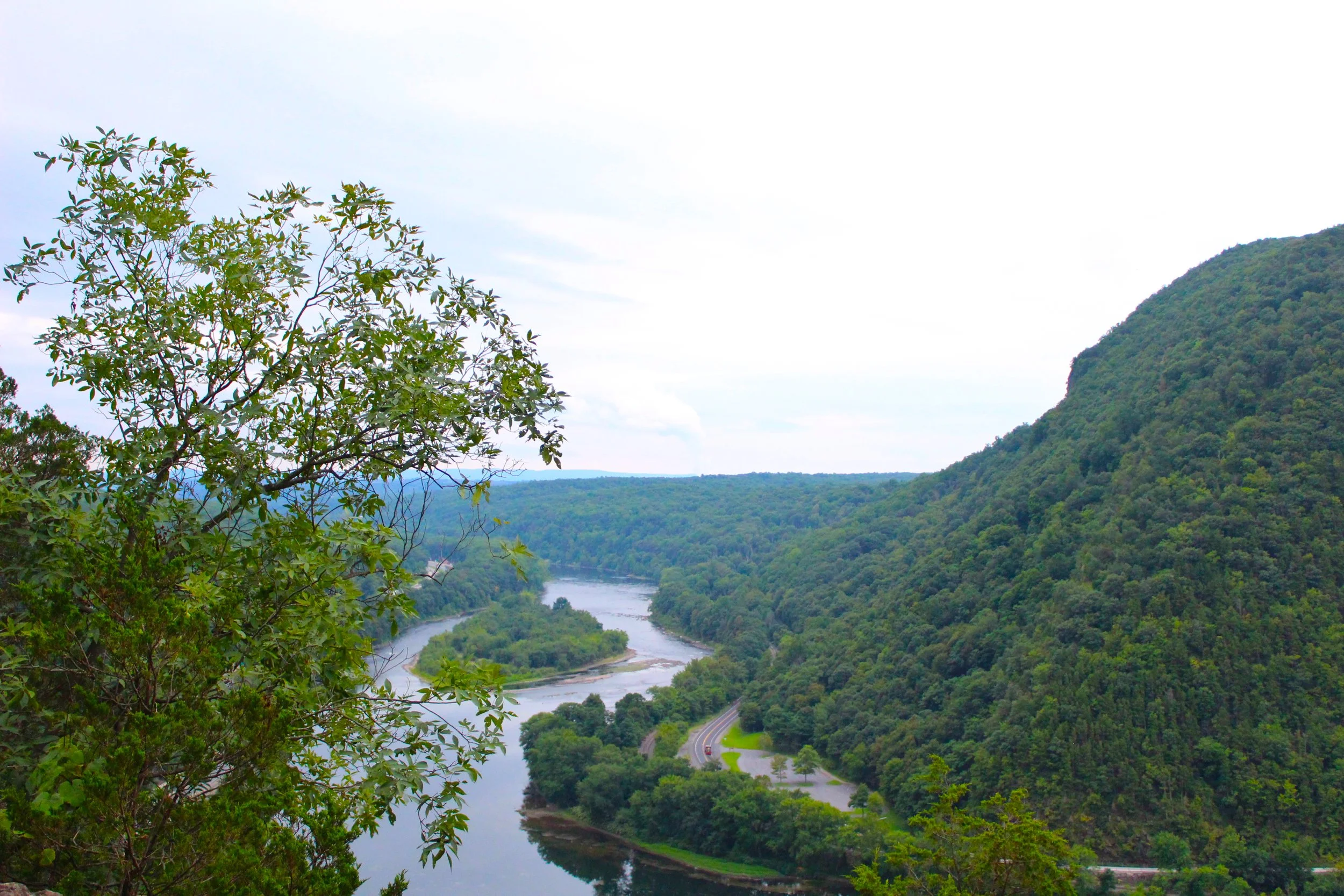 mt tammany 1.JPG