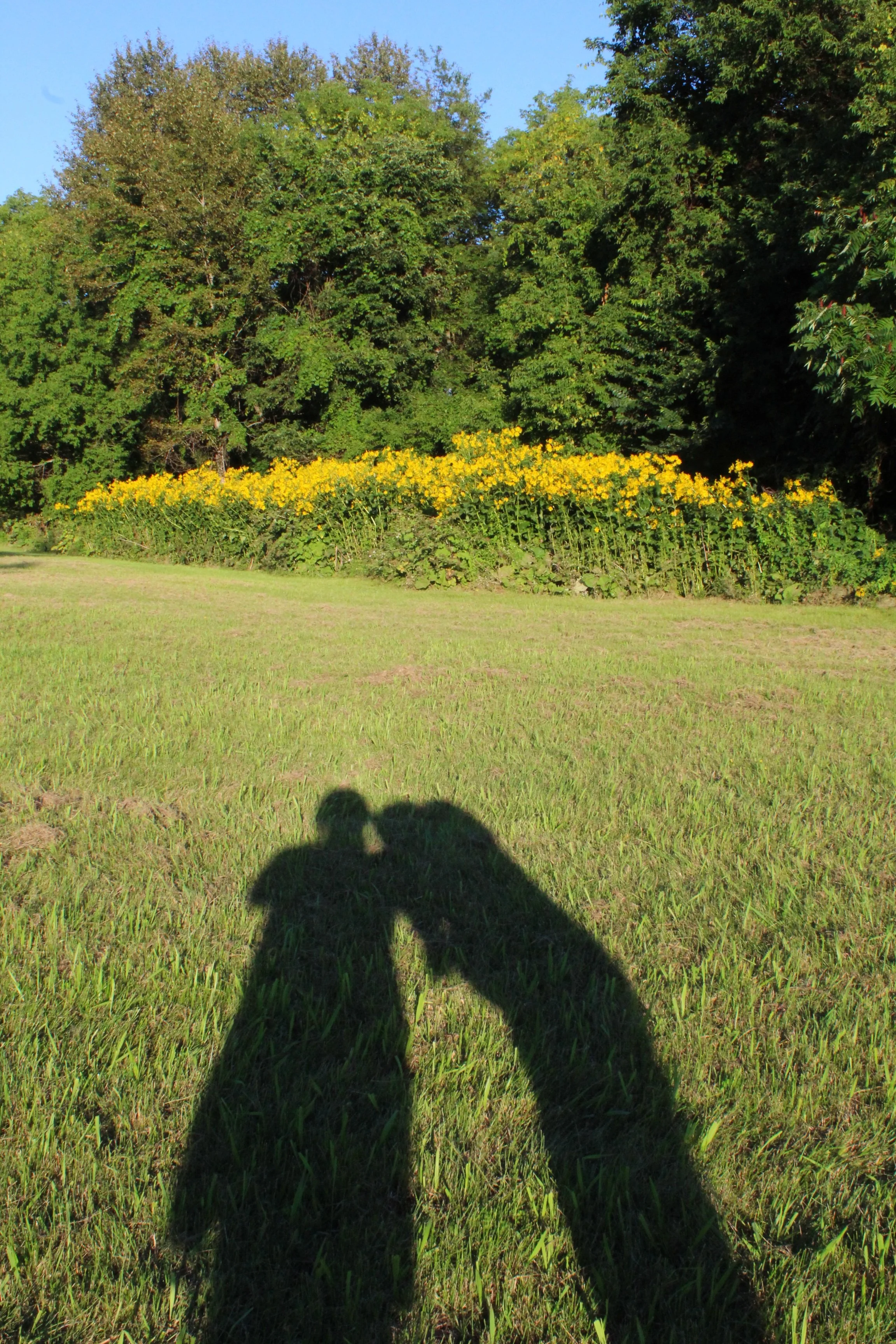 adirondack 4.JPG