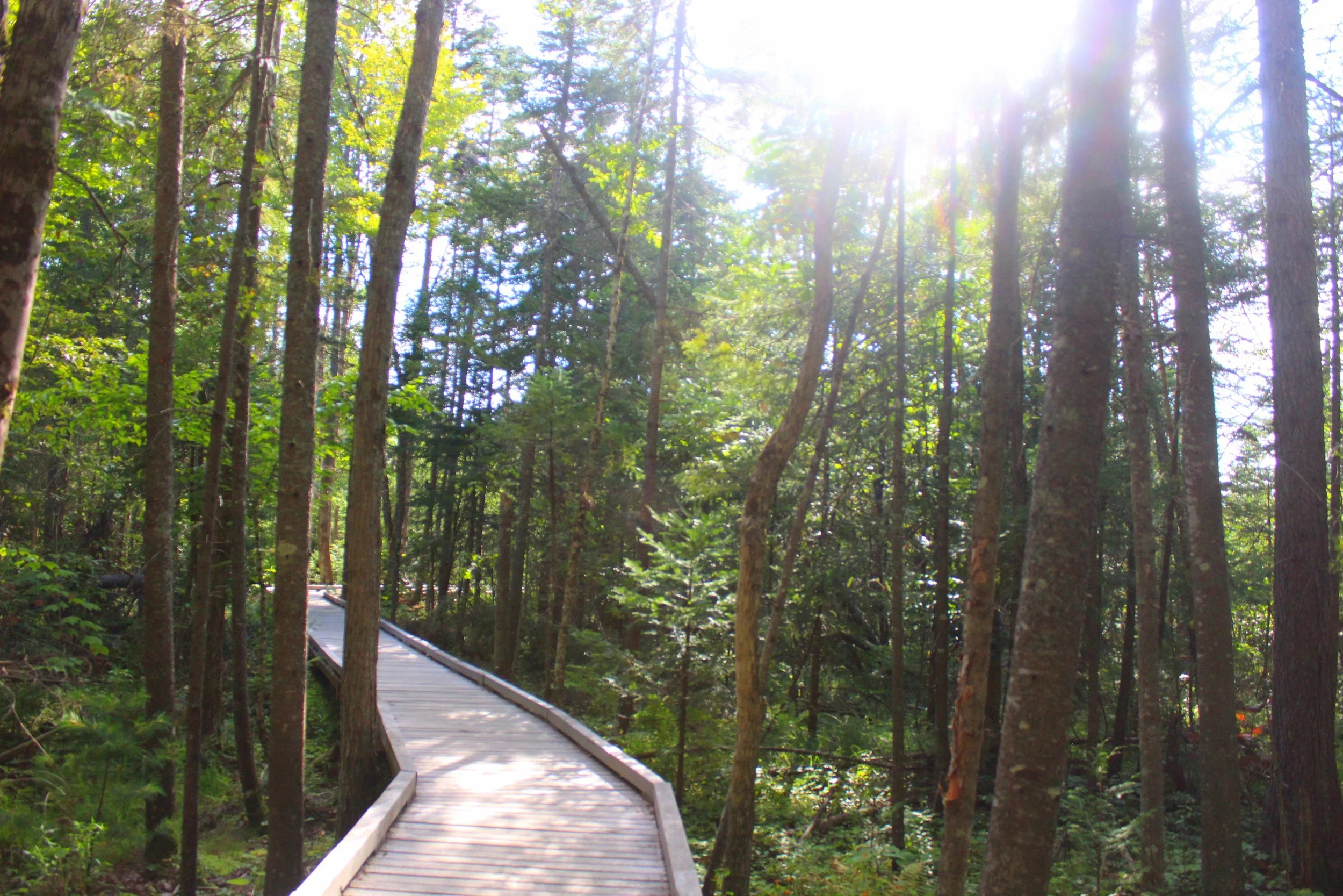 adirondack 8.JPG