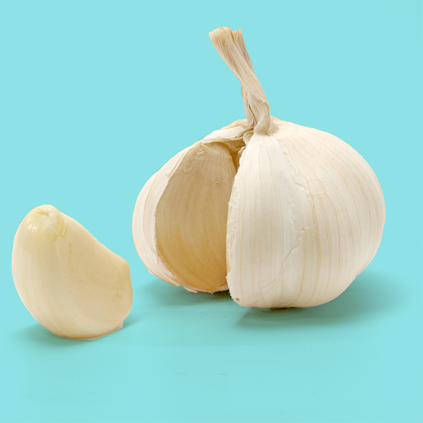 A whole garlic bulb with part of its outer skin peeled away, revealing individual garlic cloves on a light blue background.