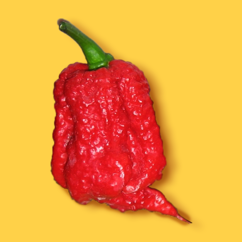 A red, bumpy chili pepper with a green stem on a yellow background.