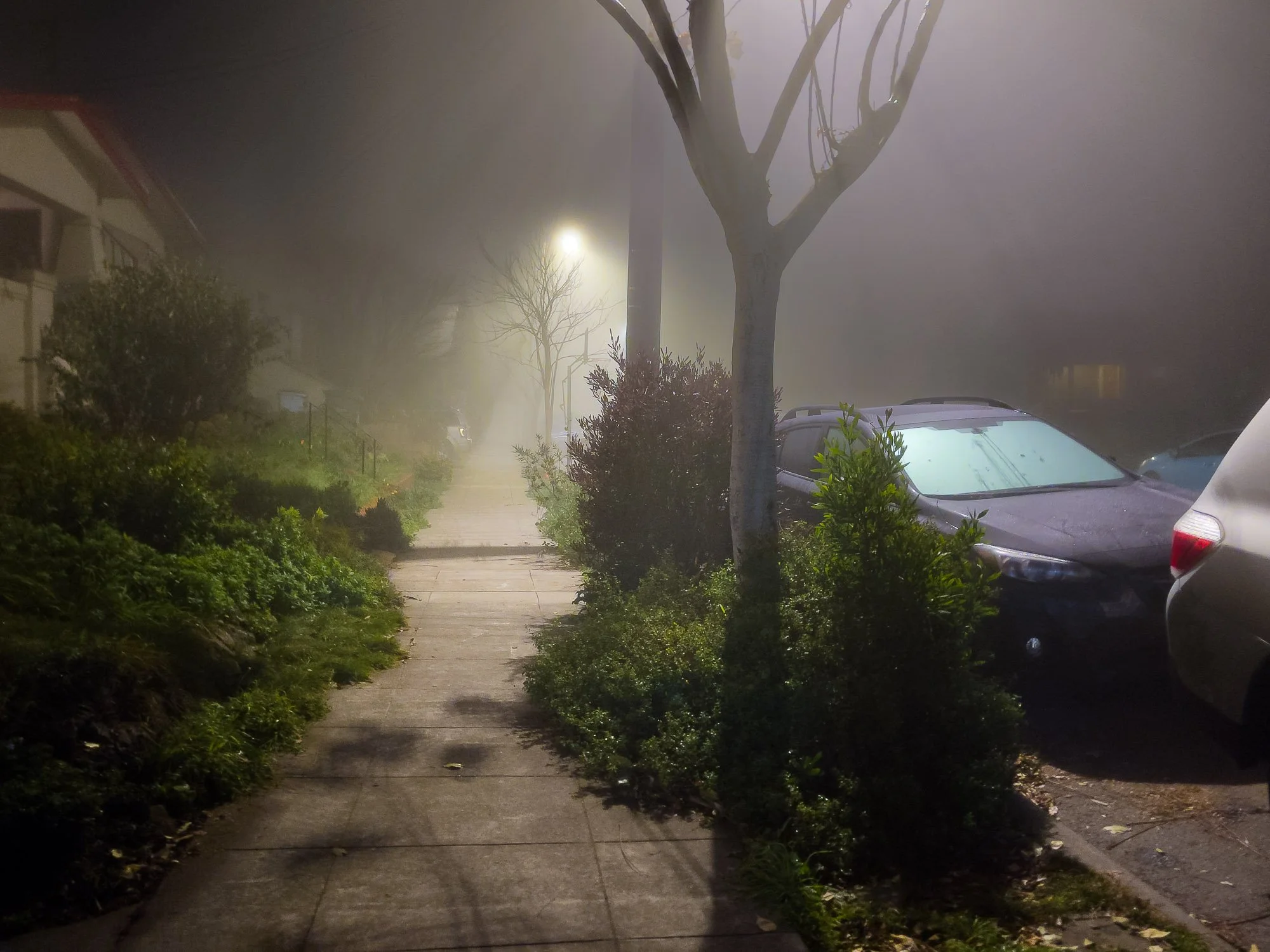 Poet's Corner; 5 AM, Berkeley, CA