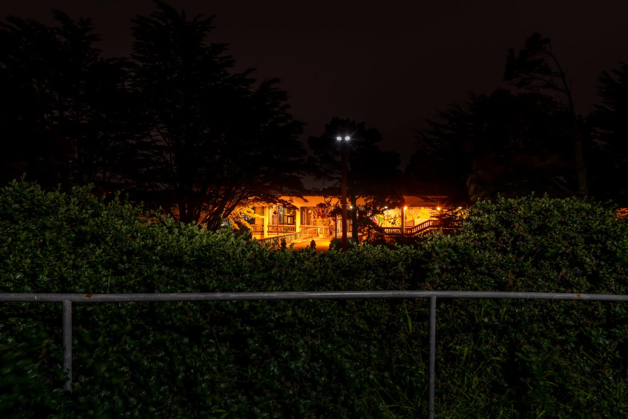 CCSF_Pre-Dawn-13.jpg